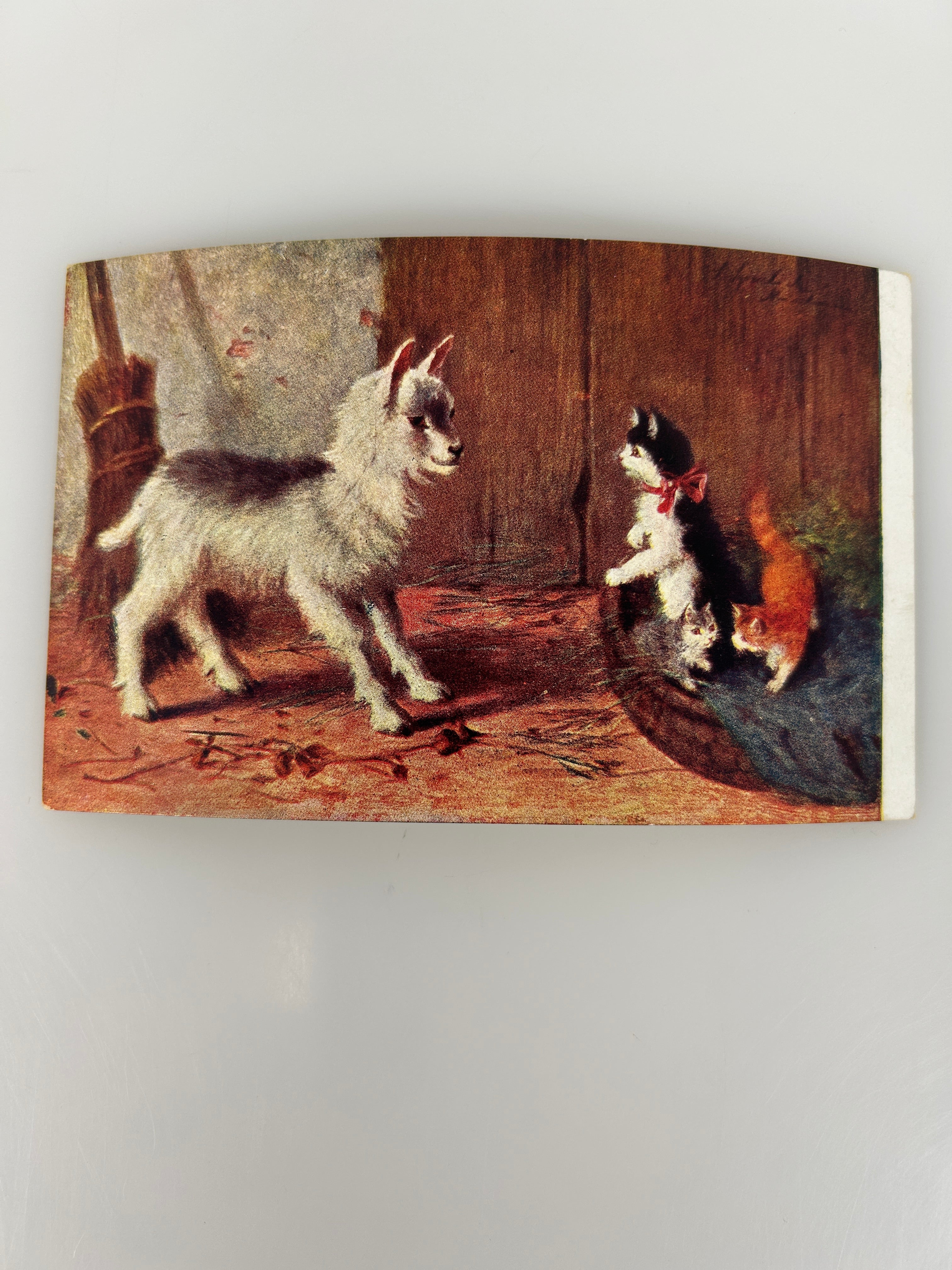 Vintage Goat and Barn Cats Antique Art Postcard c1910 Farm