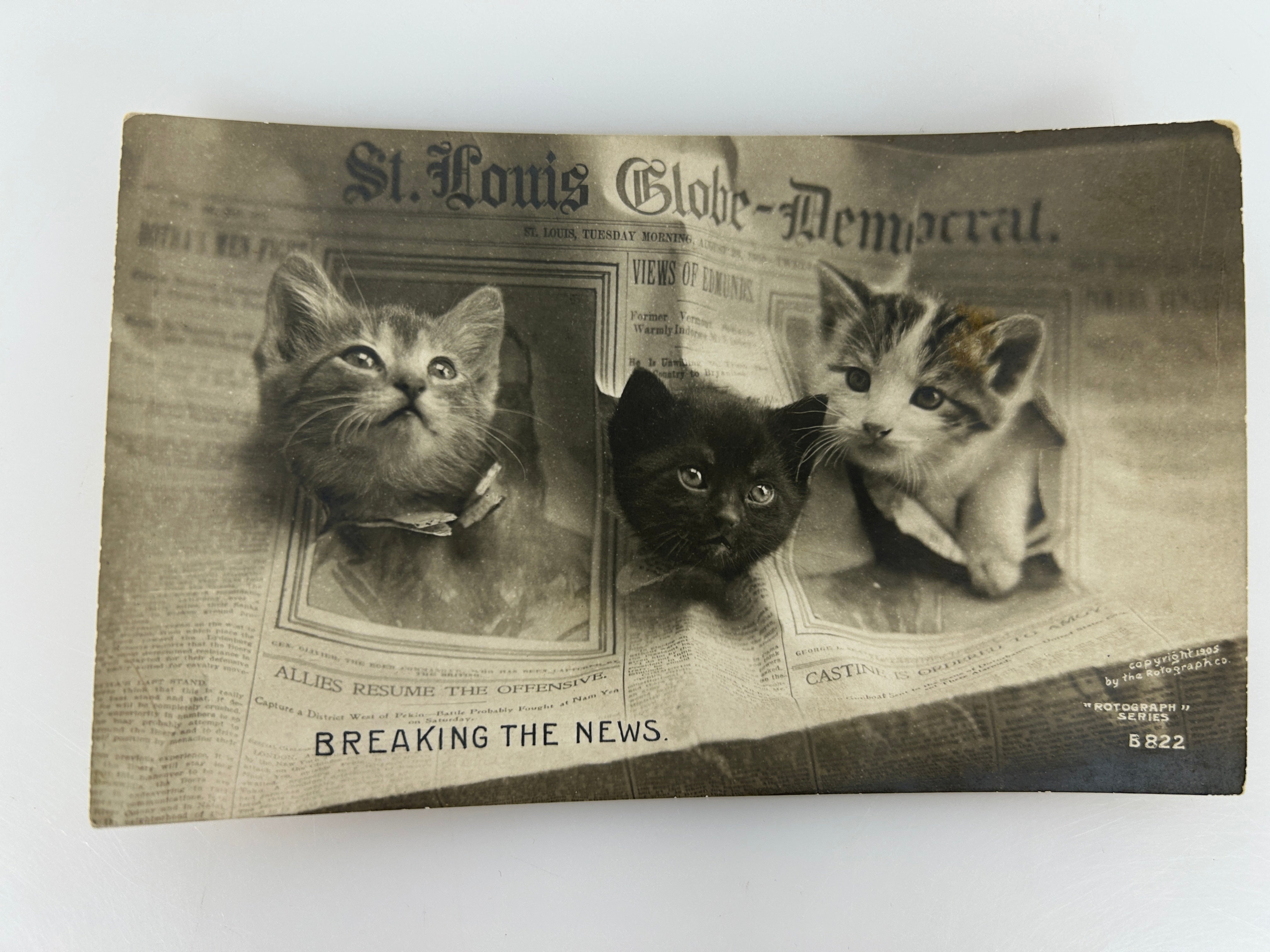 Vintage Postcard Breaking the News Three Kittens RPPC Rotograph Co 1905