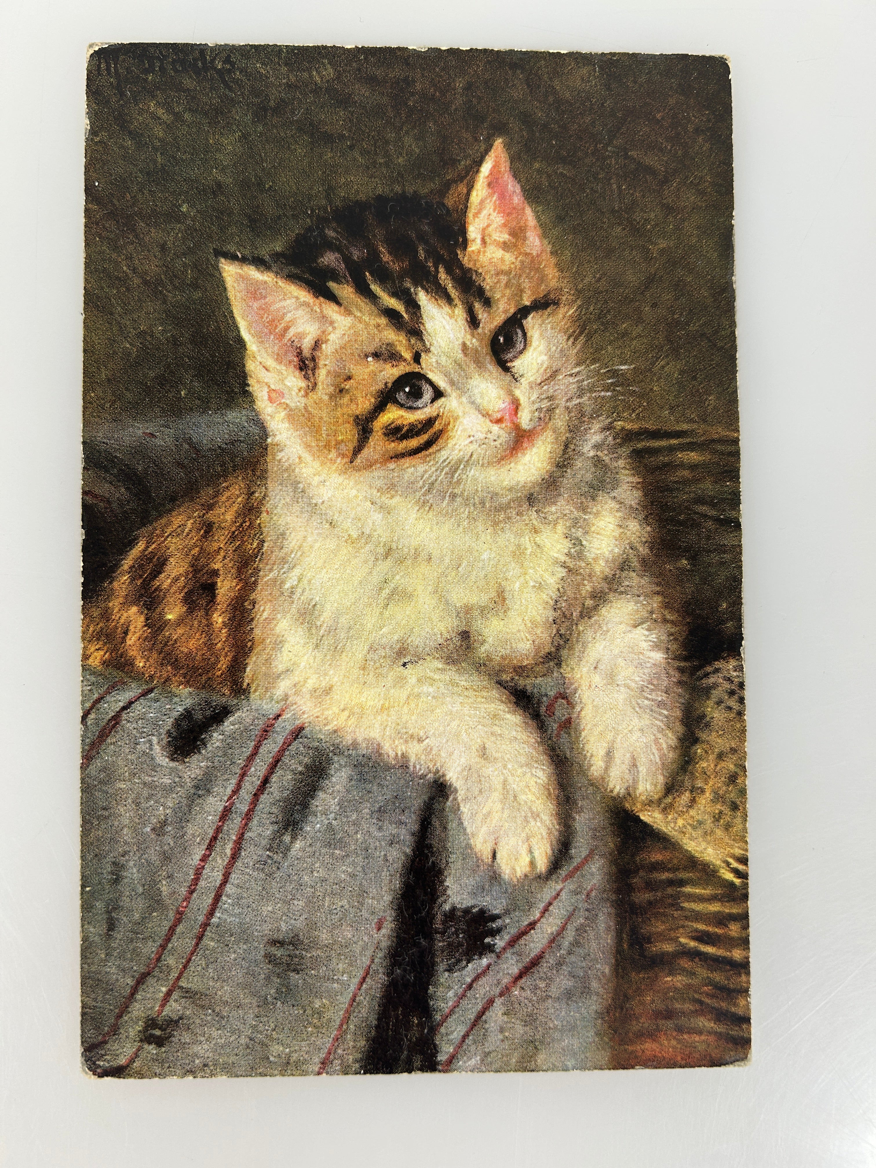 Vintage Postcard Cat in Basket Vintage Postcard H.K. & Co. posted 1907