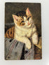 Vintage Postcard Cat in Basket Vintage Postcard H.K. & Co. posted 1907
