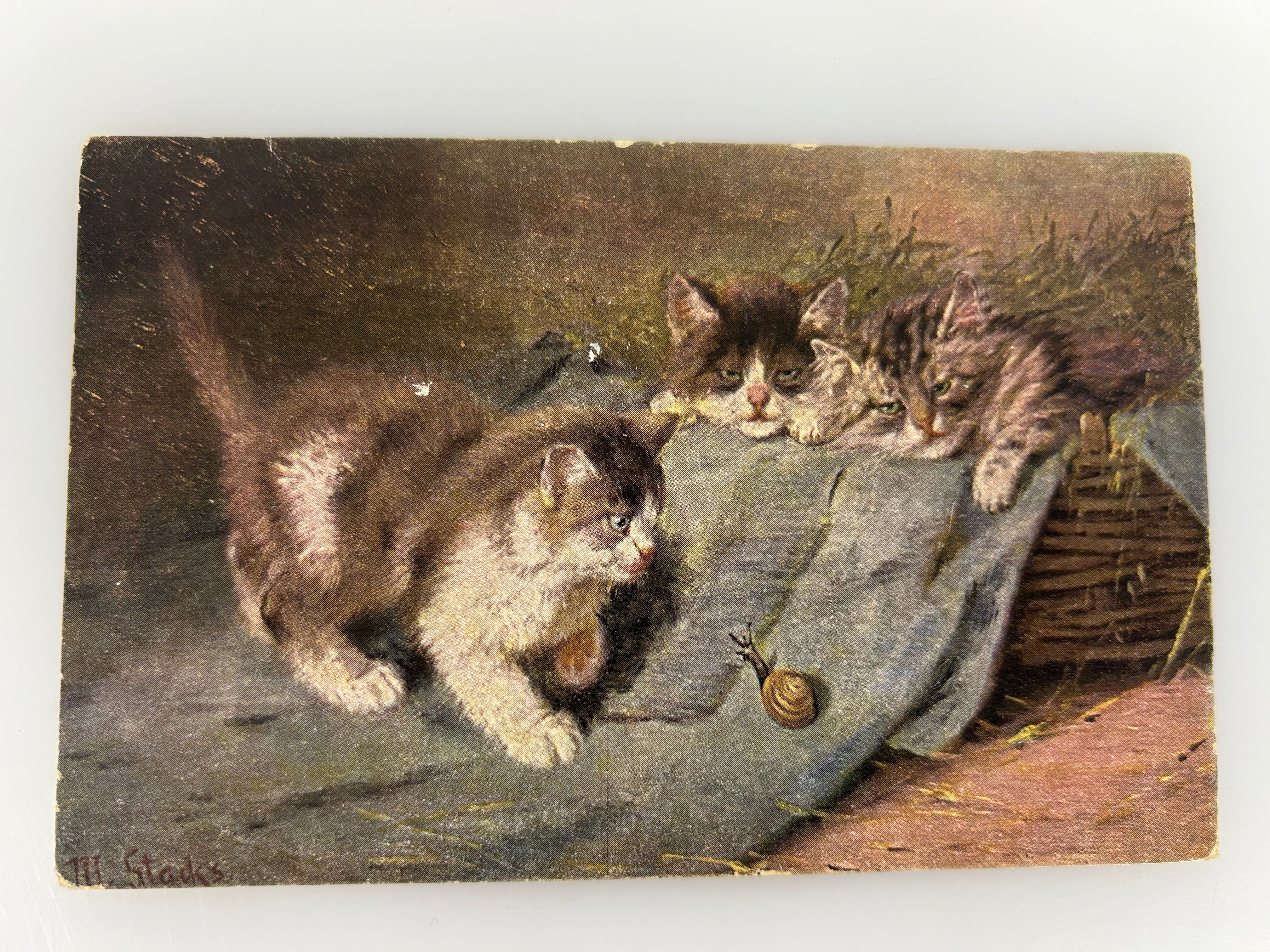 Vintage Postcard "Three Cats and a Snail" Henriette Ronner-Knip 1900s