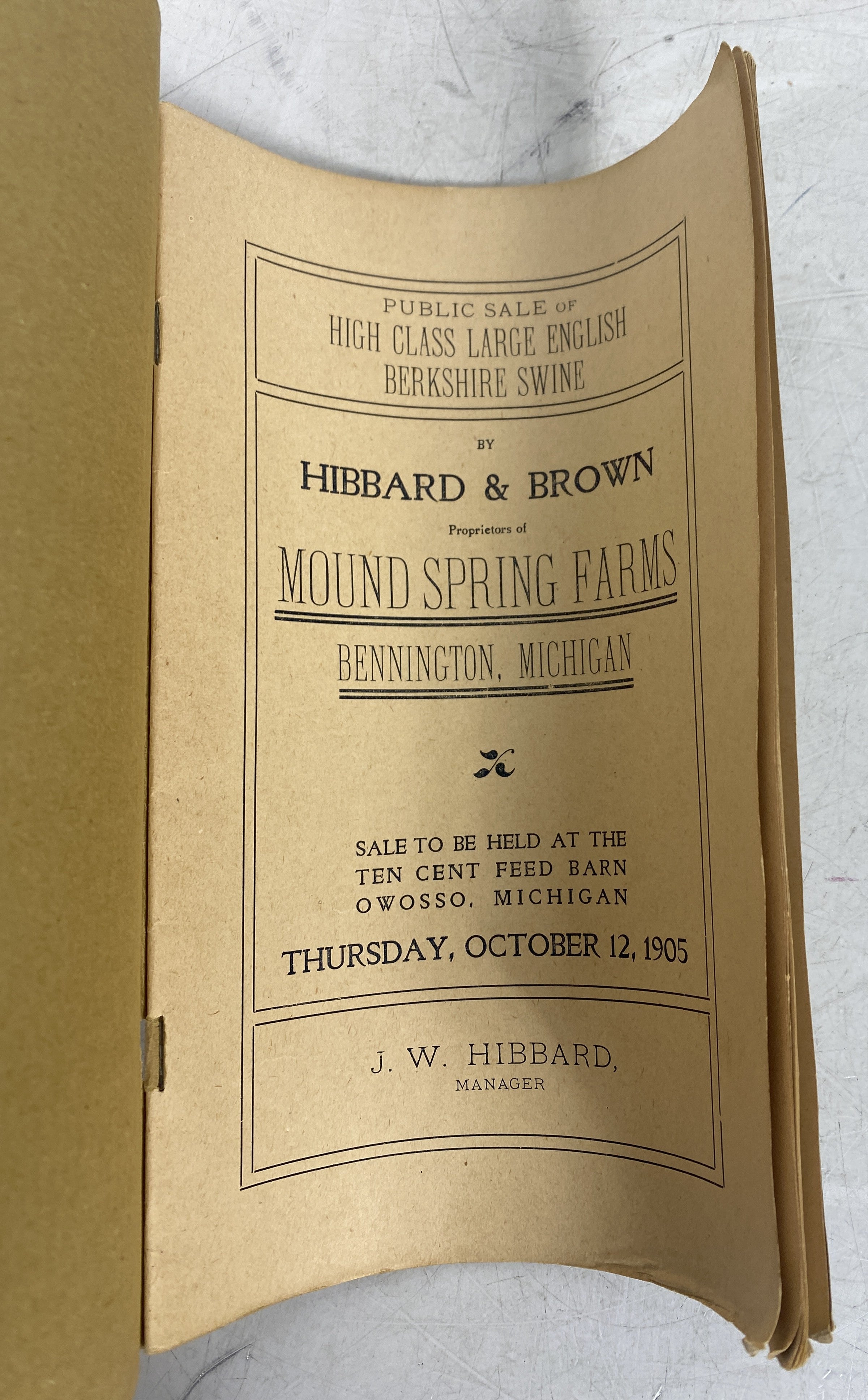Vintage Public Swine Sale Booklet 1905 Bennington, Michigan