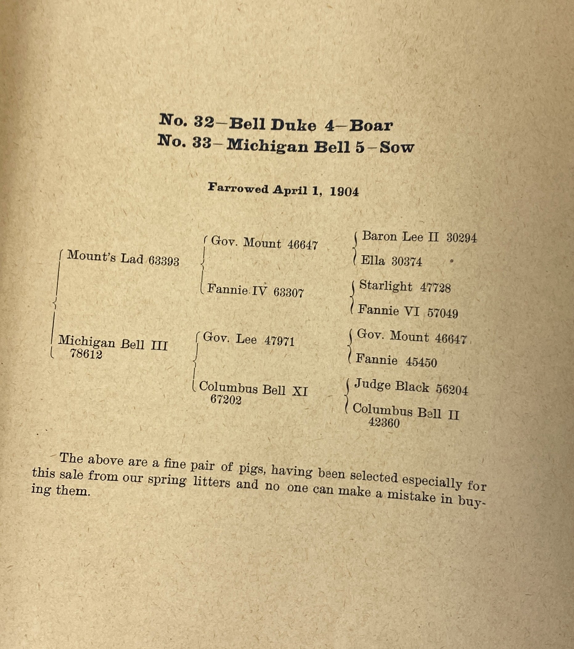 Vintage Public Swine Sale Booklet 1905 Bennington, Michigan