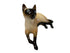 Vintage Royal Doulton Siamese Cat Figurine