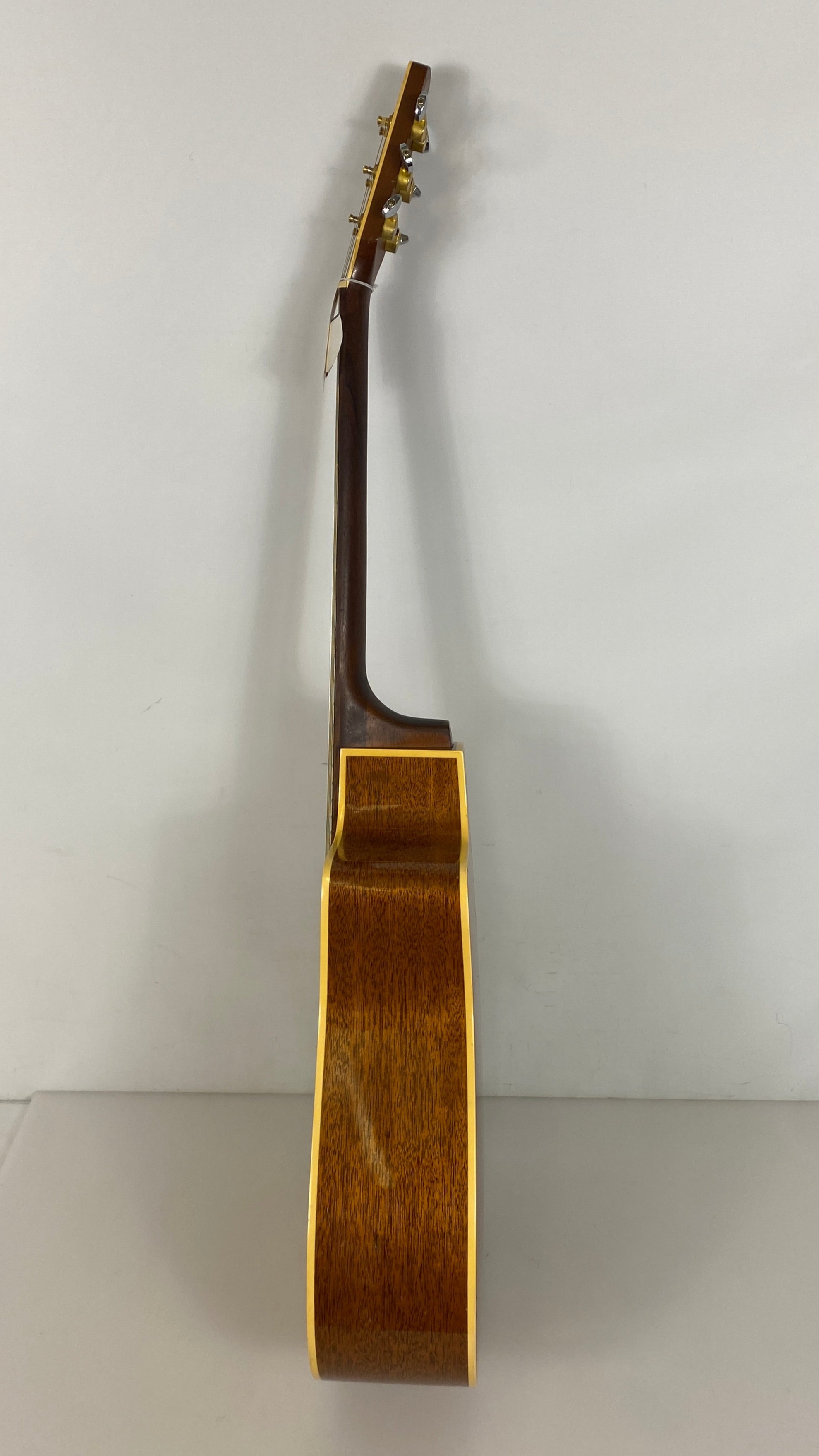 Vintage Seagull Artist Series Electric Acoustic Guitar