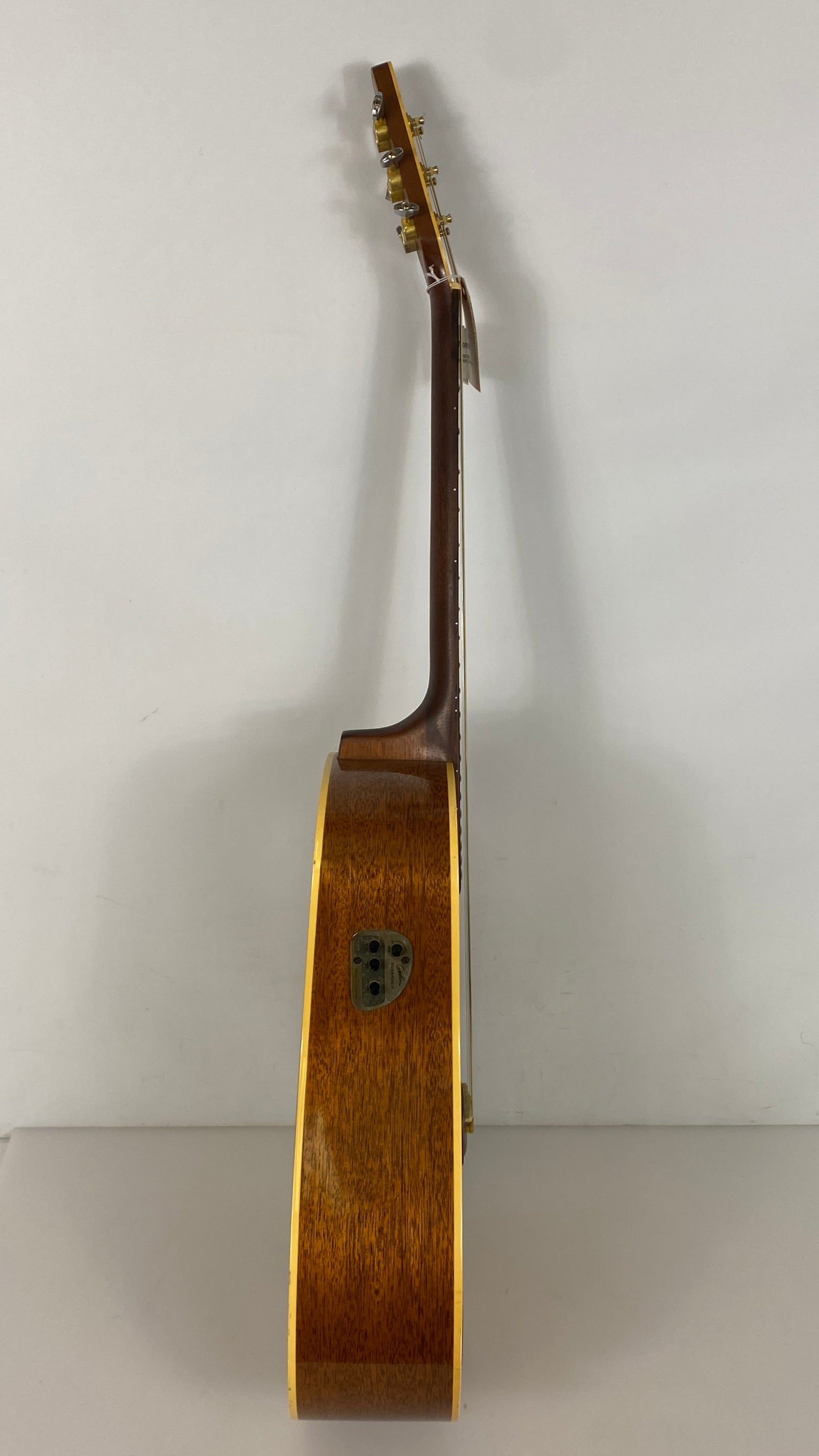Vintage Seagull Artist Series Electric Acoustic Guitar