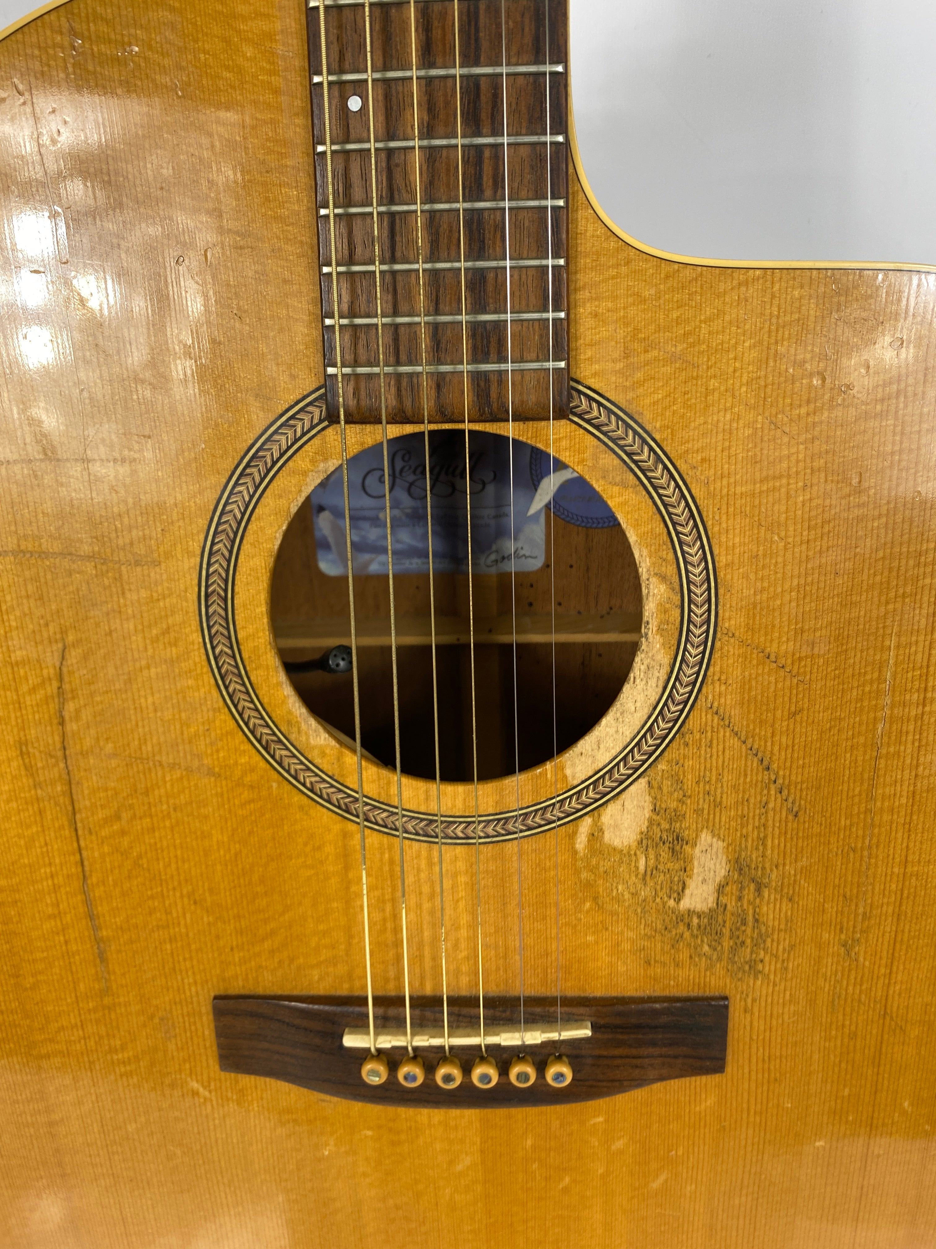 Vintage Seagull Artist Series Electric Acoustic Guitar