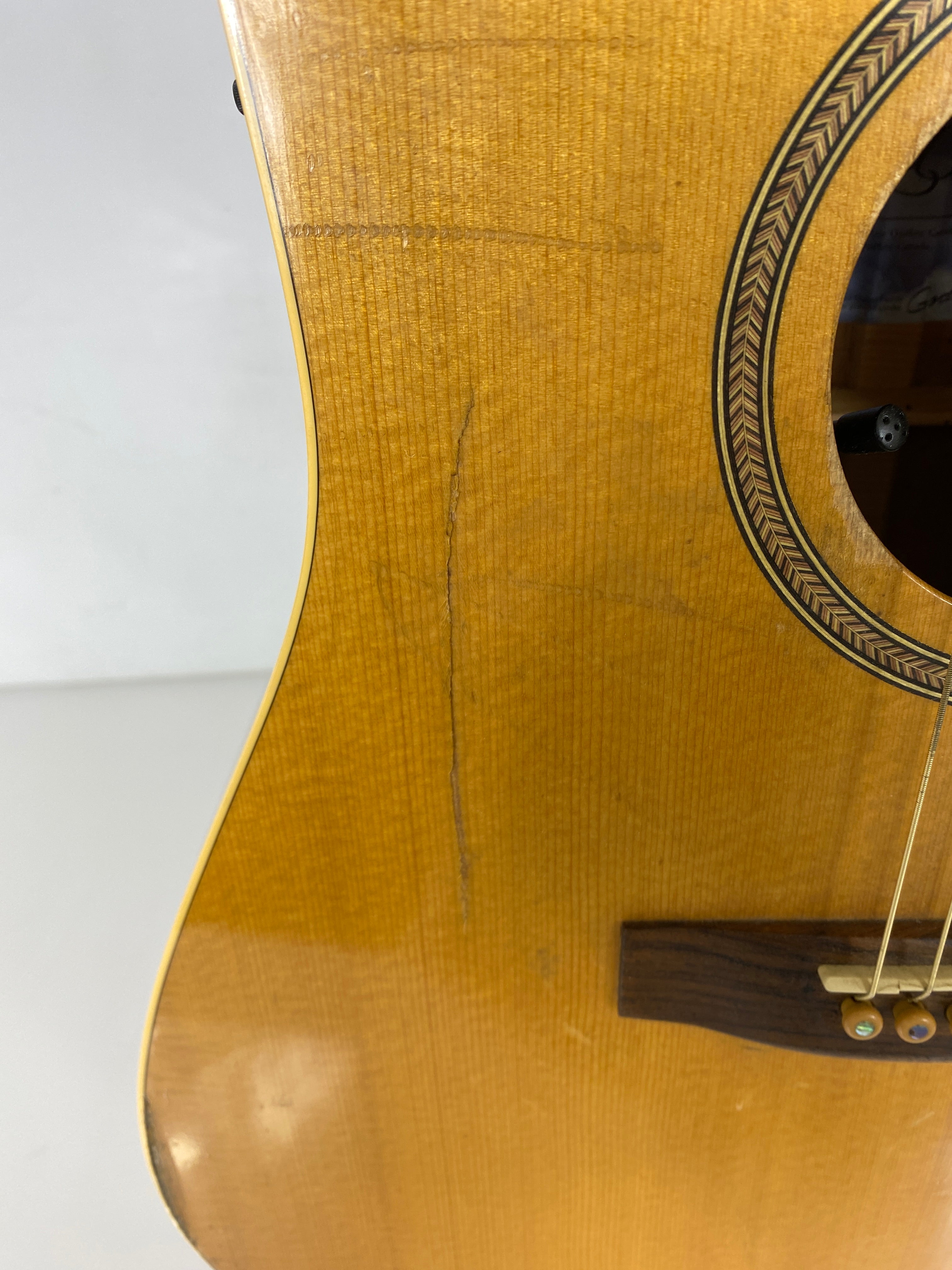 Vintage Seagull Artist Series Electric Acoustic Guitar