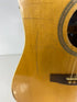 Vintage Seagull Artist Series Electric Acoustic Guitar