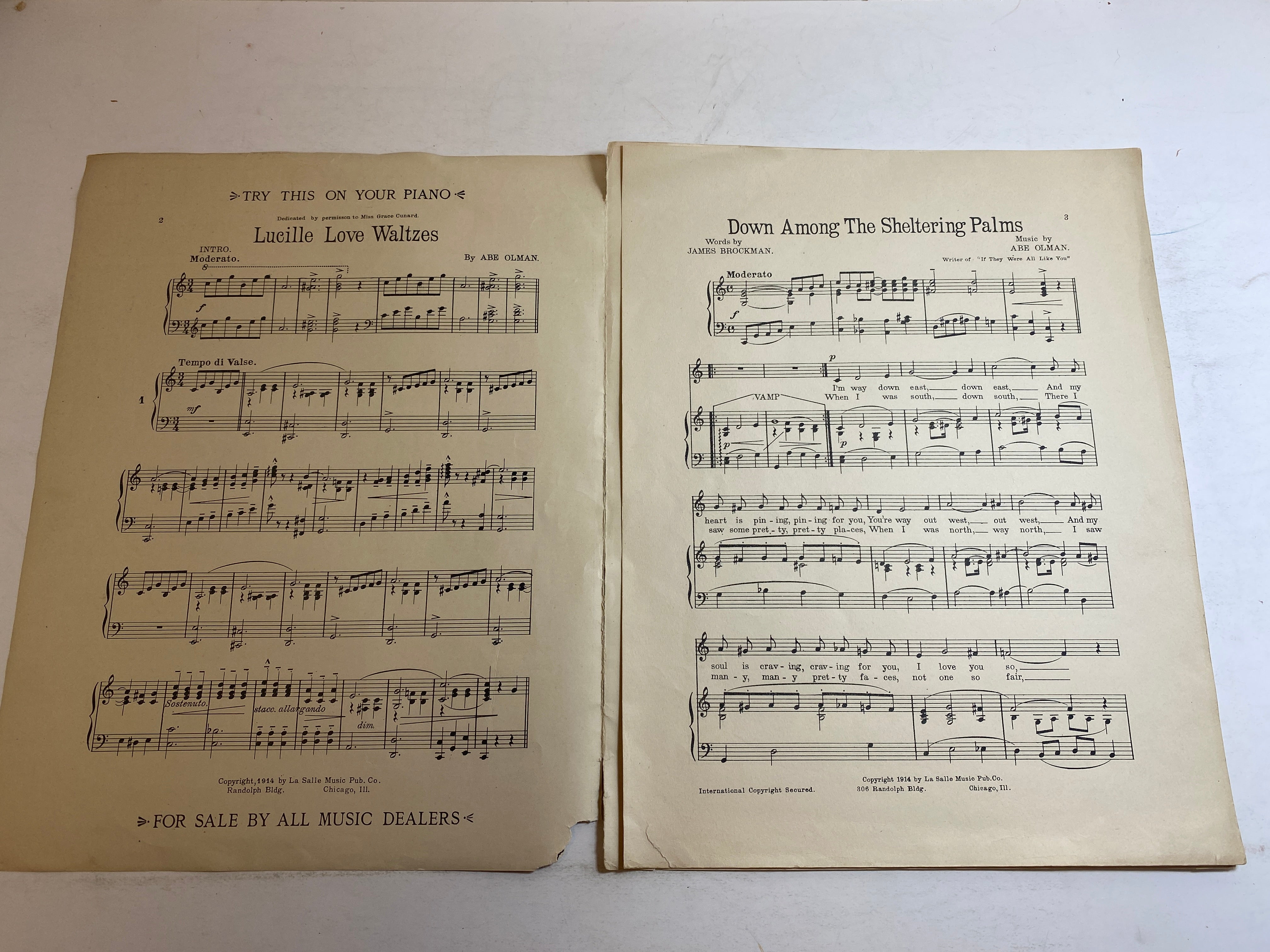 Vintage Sheet Music Down Among the Sheltering Palms
