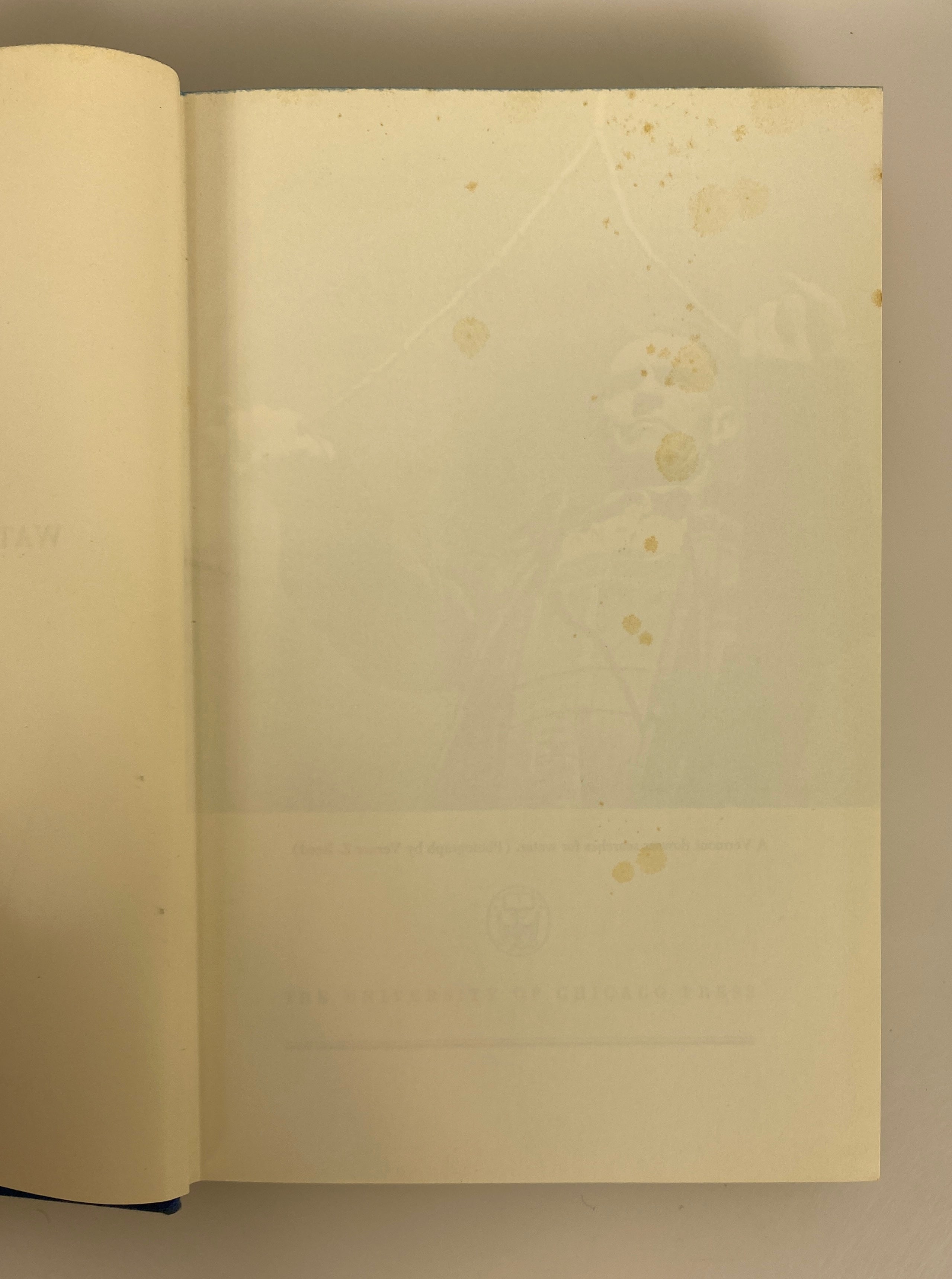 Water Witching USA by Vogt/Hyman 1959 Vintage HC DJ