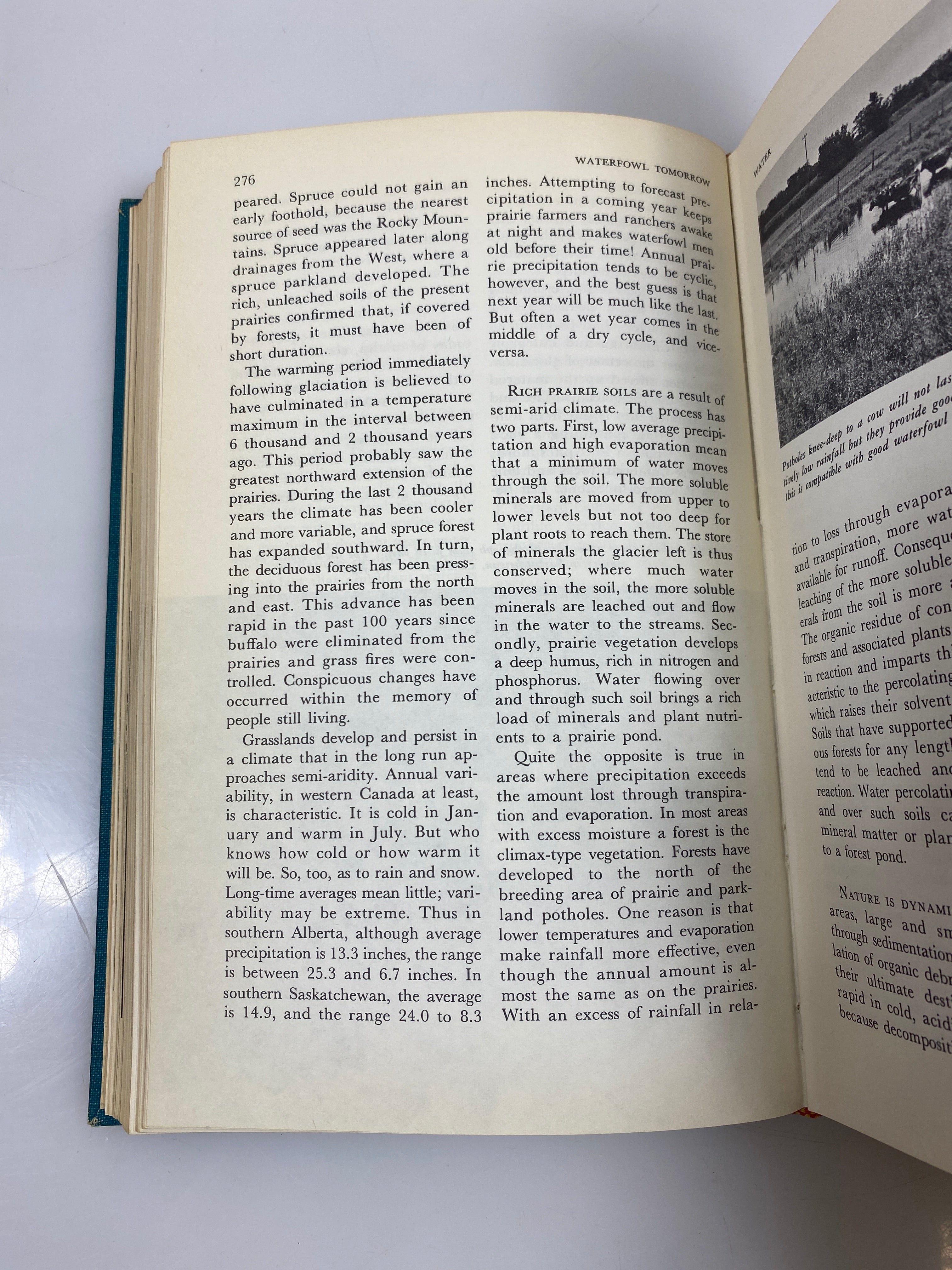 Waterfowl Tomorrow by Linduska 1964 HC