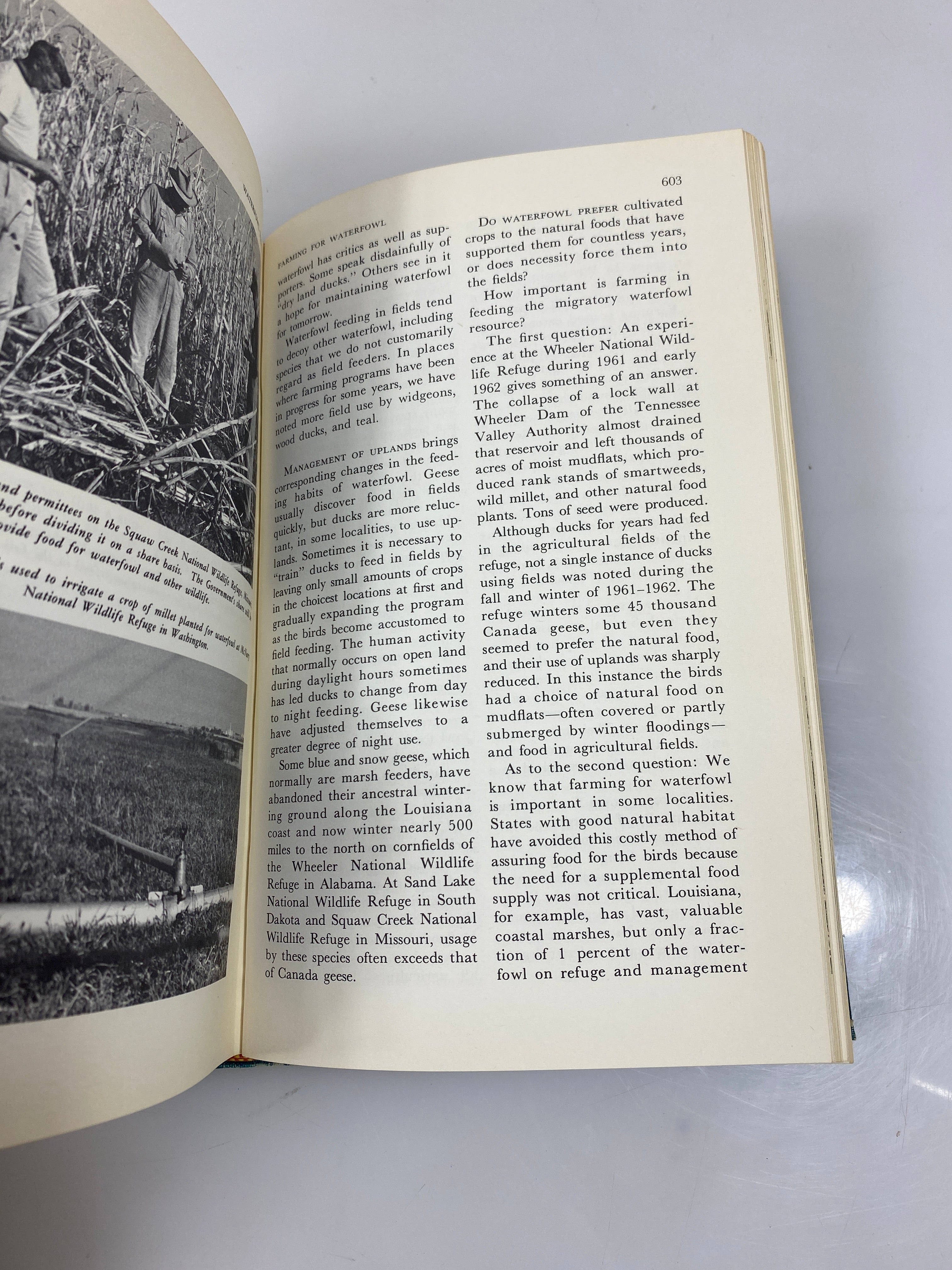 Waterfowl Tomorrow by Linduska 1964 HC
