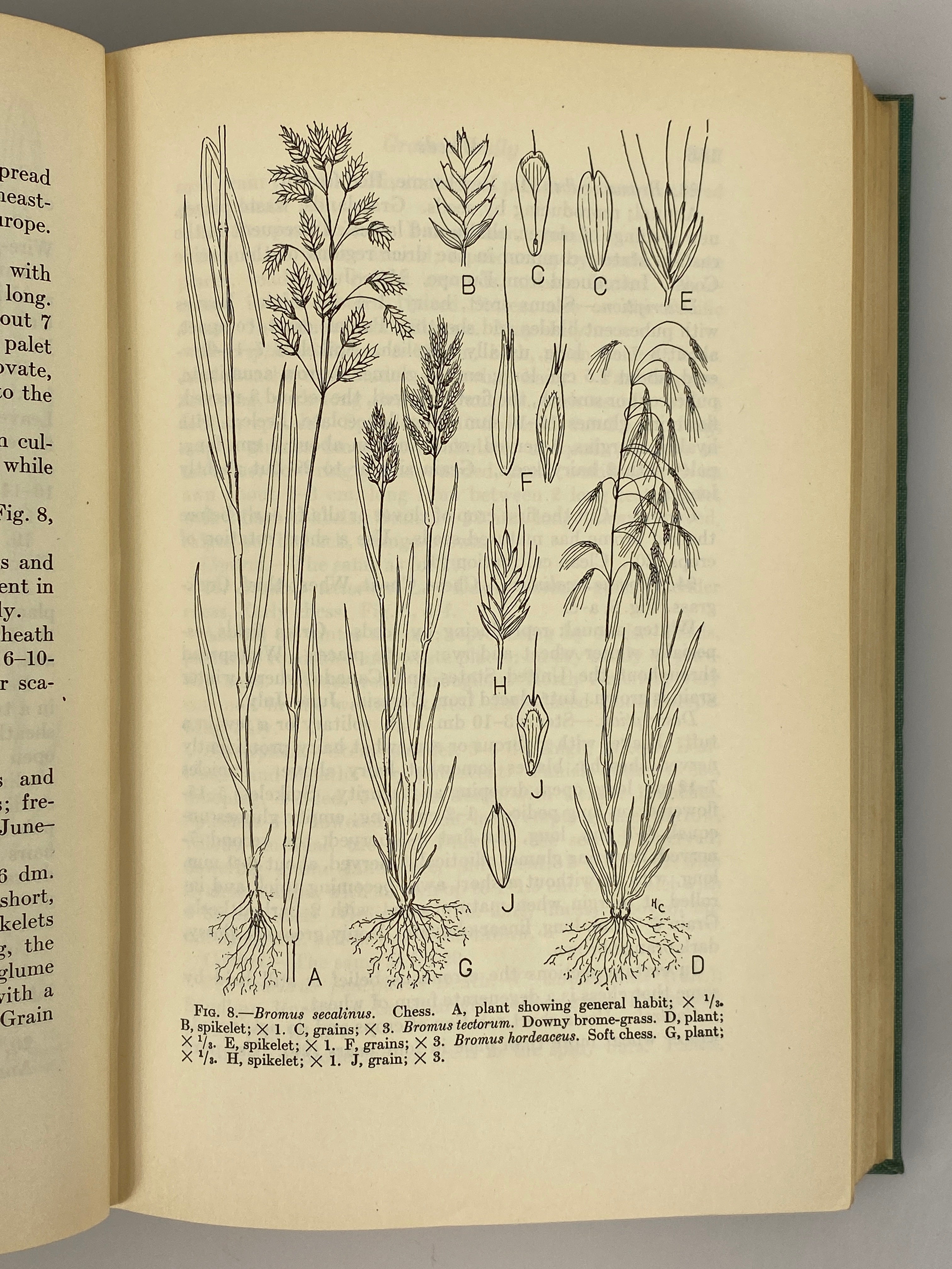 Weeds by Walter Conrad Muenscher 1936 First Edition Second Print HC
