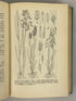 Weeds by Walter Conrad Muenscher 1936 First Edition Second Print HC