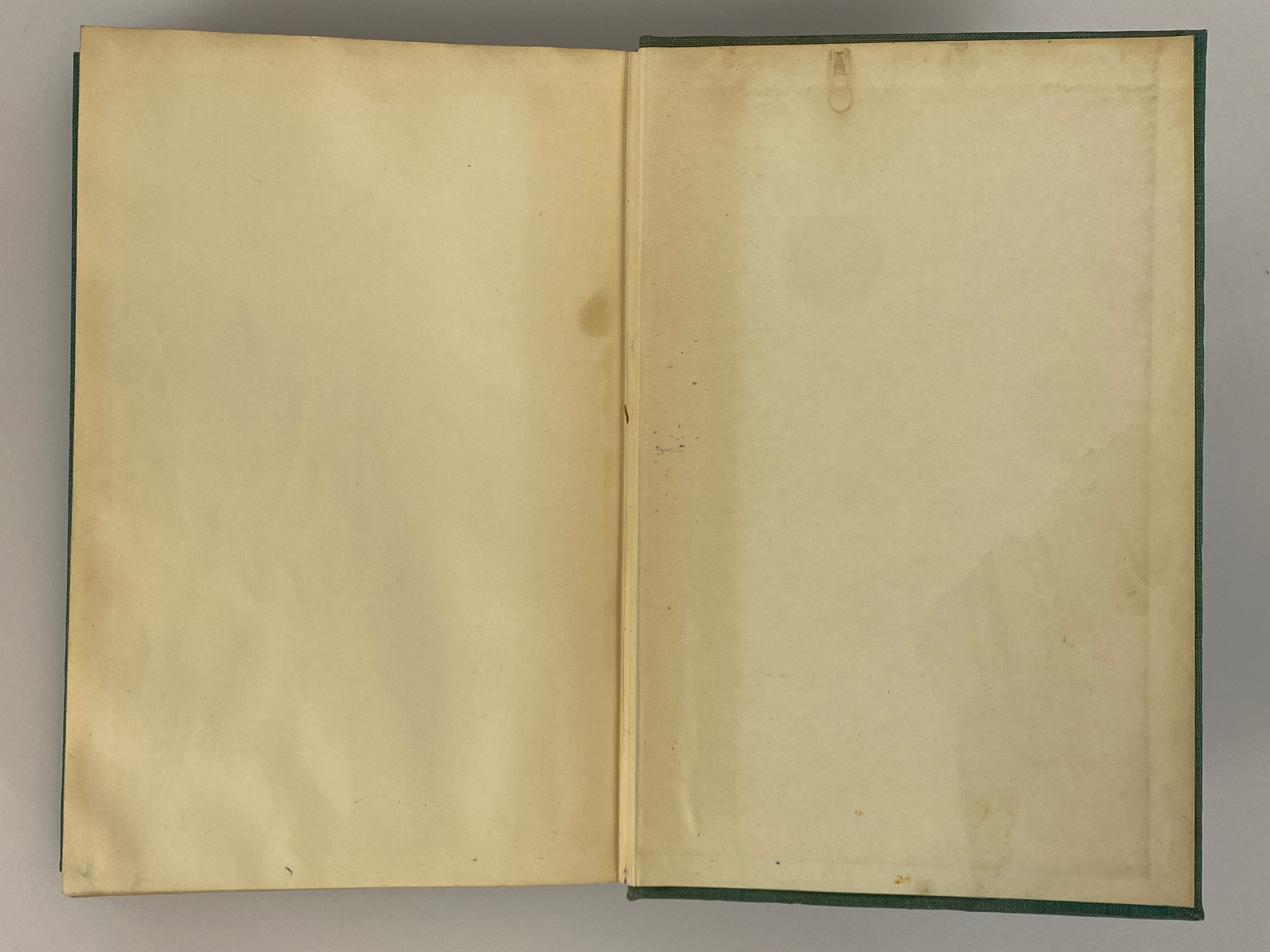 Weeds by Walter Conrad Muenscher 1936 First Edition Second Print HC