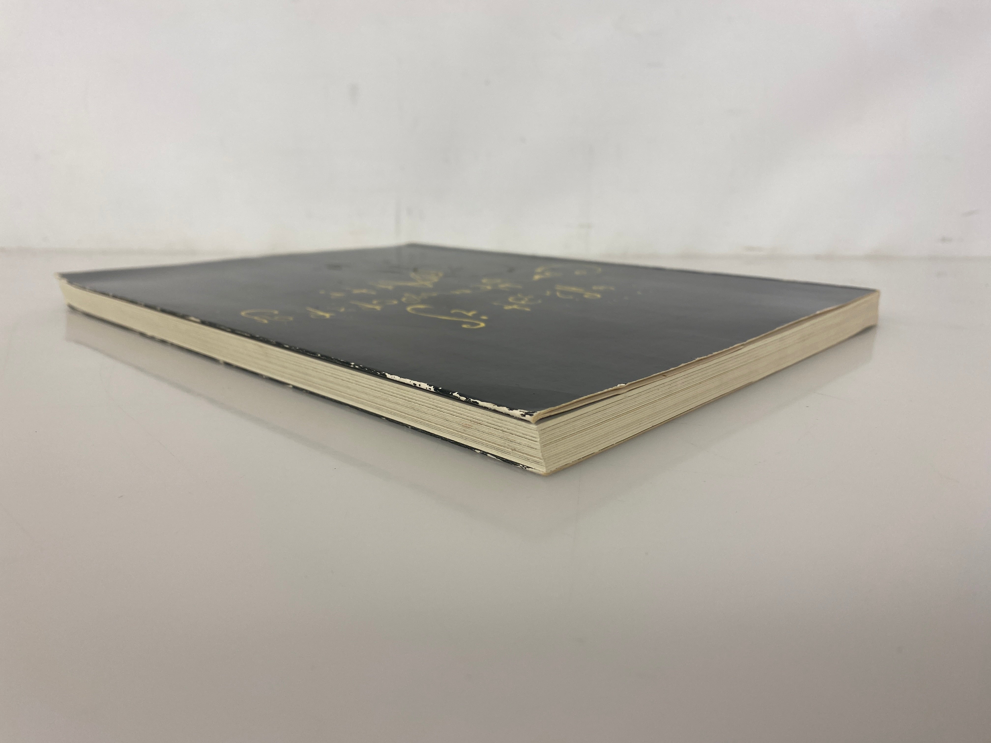What is Contemporary Art? 1989 Rooseum Malmo Sweden SC Catalog