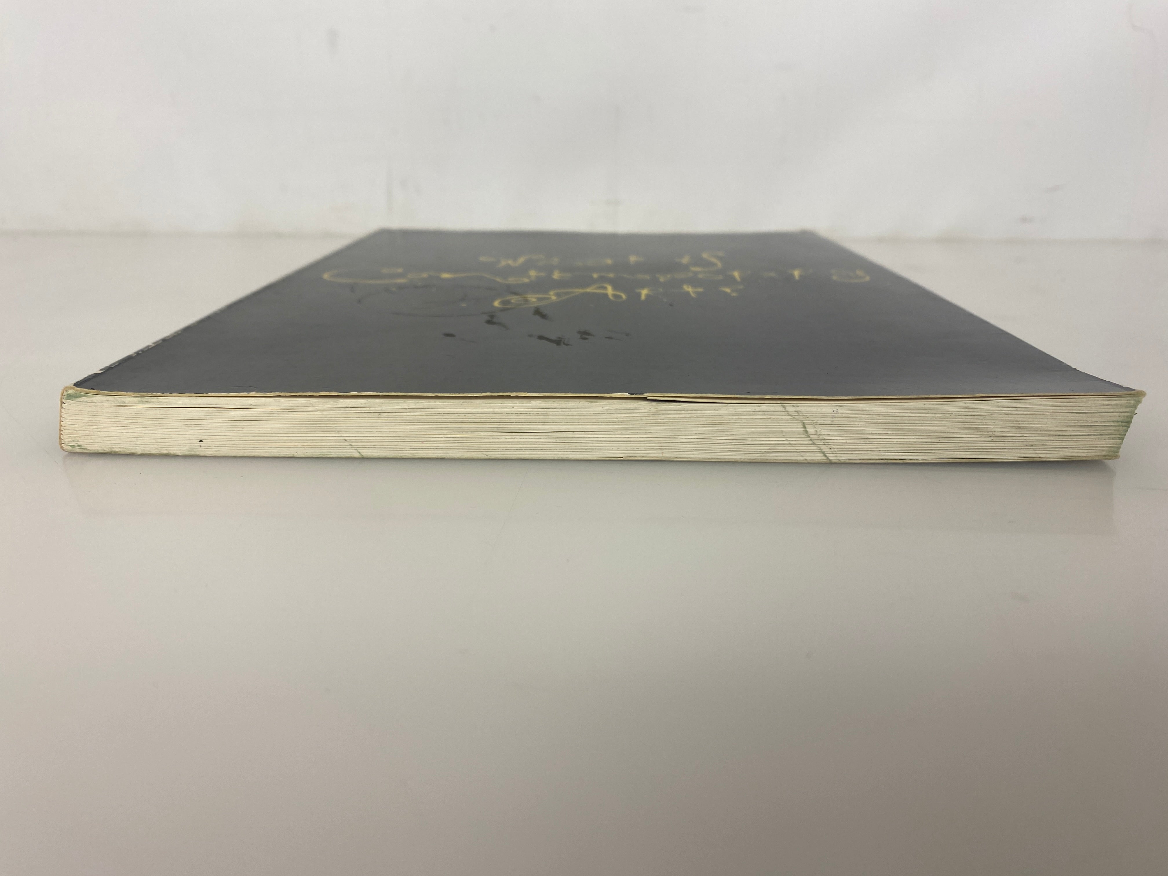 What is Contemporary Art? 1989 Rooseum Malmo Sweden SC Catalog