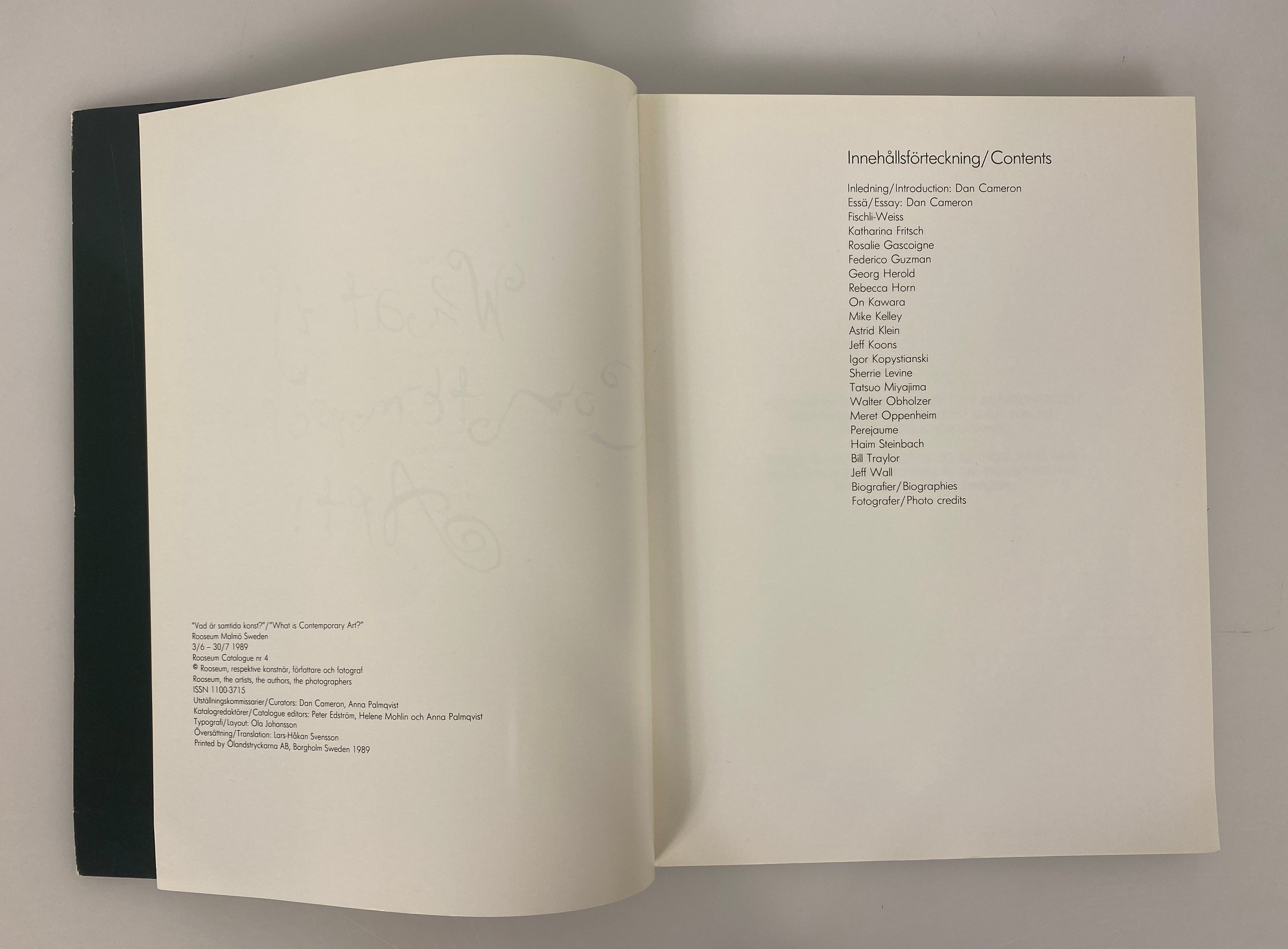 What is Contemporary Art? 1989 Rooseum Malmo Sweden SC Catalog