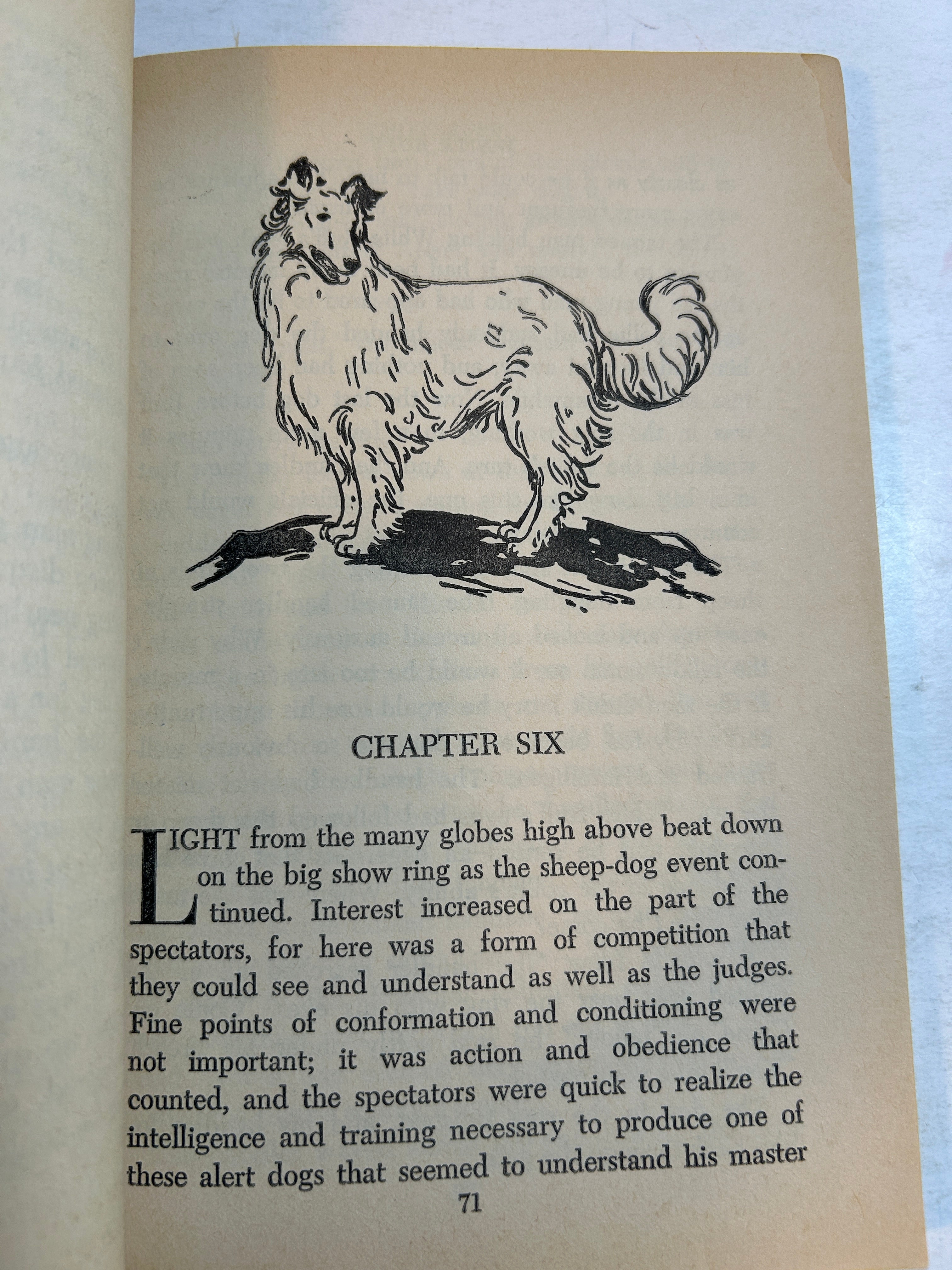 White Ruff by Glenn Balch Scholastic 10th Printing SC