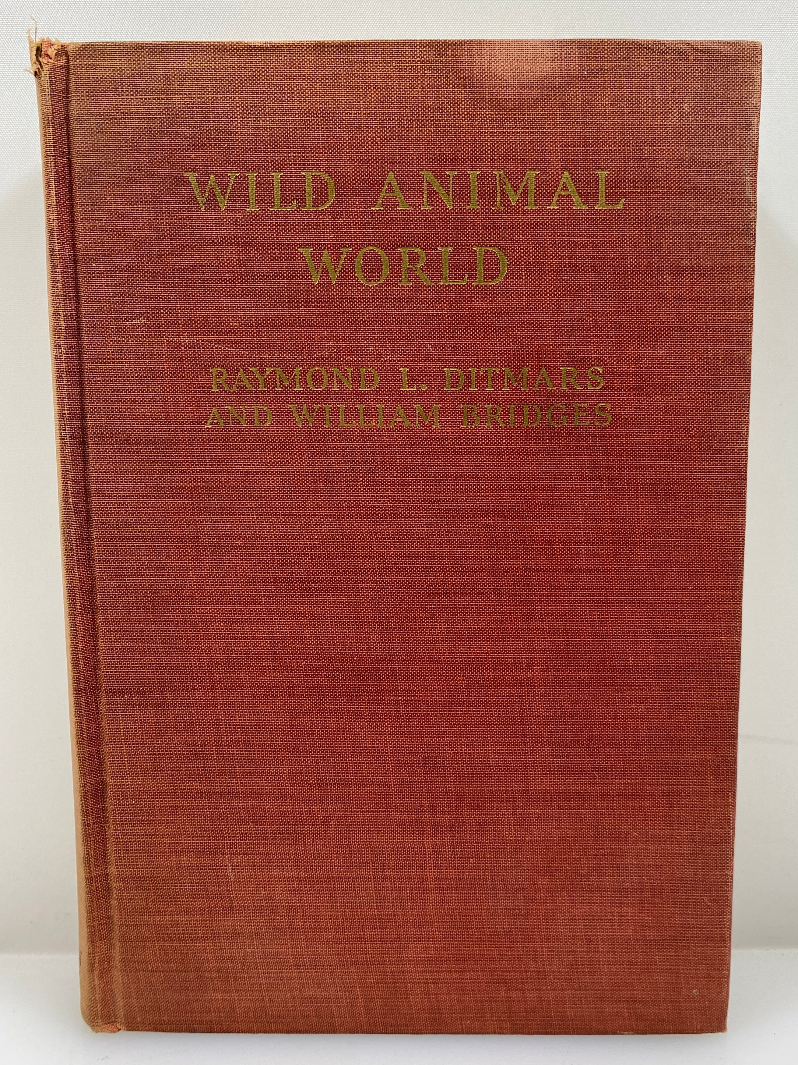 Wild Animal World Behind the Scenes at the Zoo Ditmars/Bridges 1943 Vintage HC