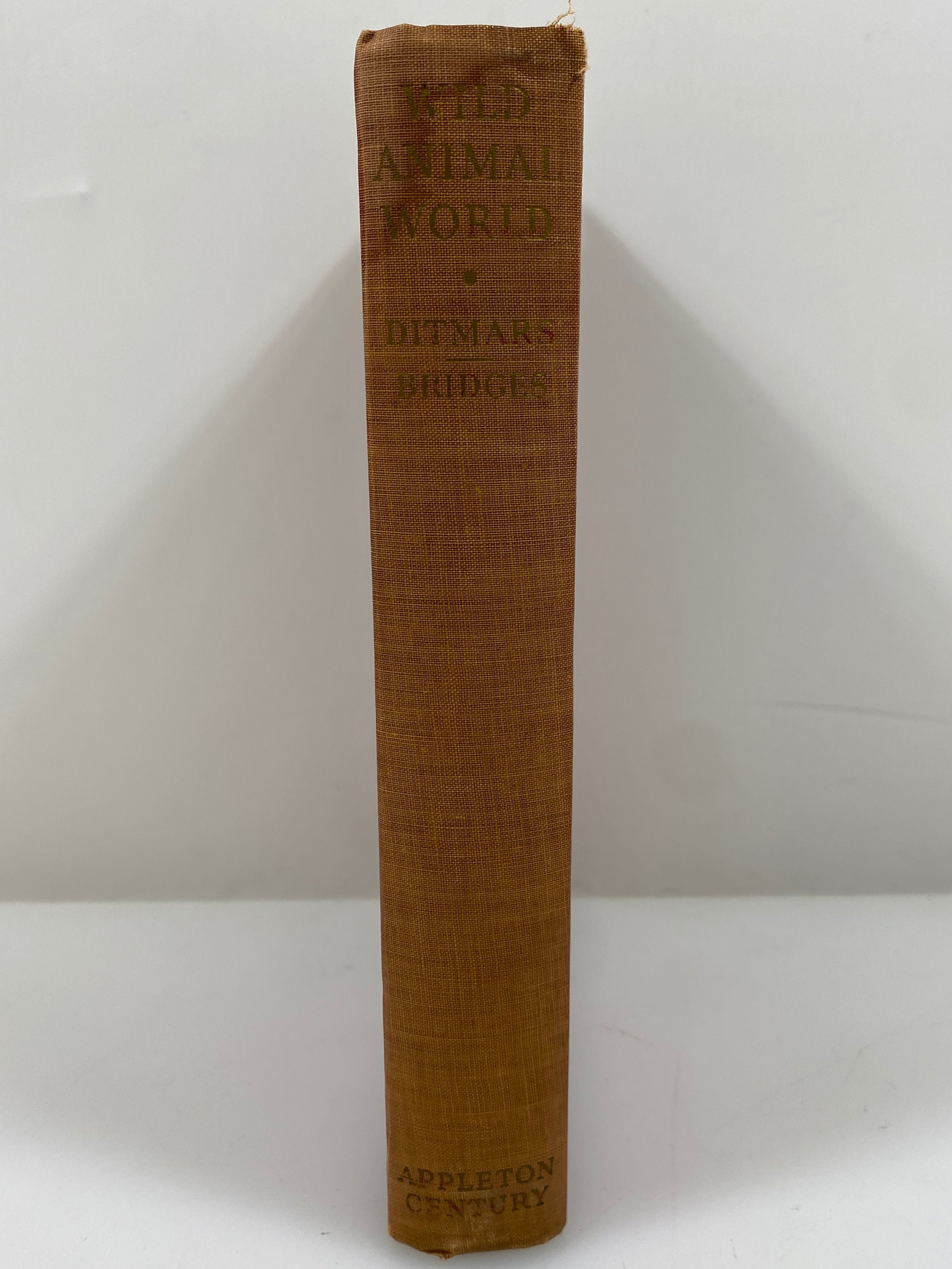 Wild Animal World Behind the Scenes at the Zoo Ditmars/Bridges 1943 Vintage HC