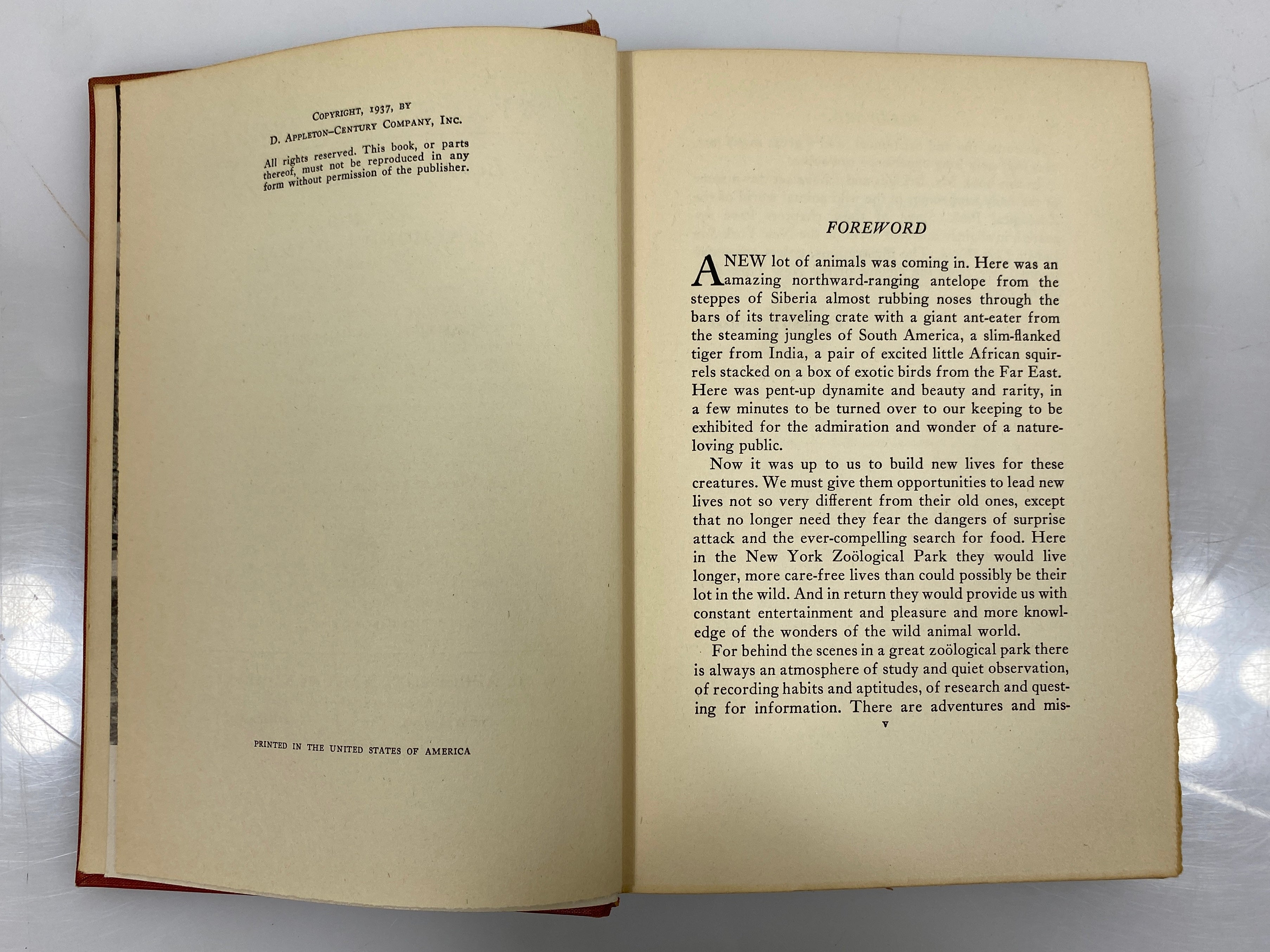 Wild Animal World Behind the Scenes at the Zoo Ditmars/Bridges 1943 Vintage HC