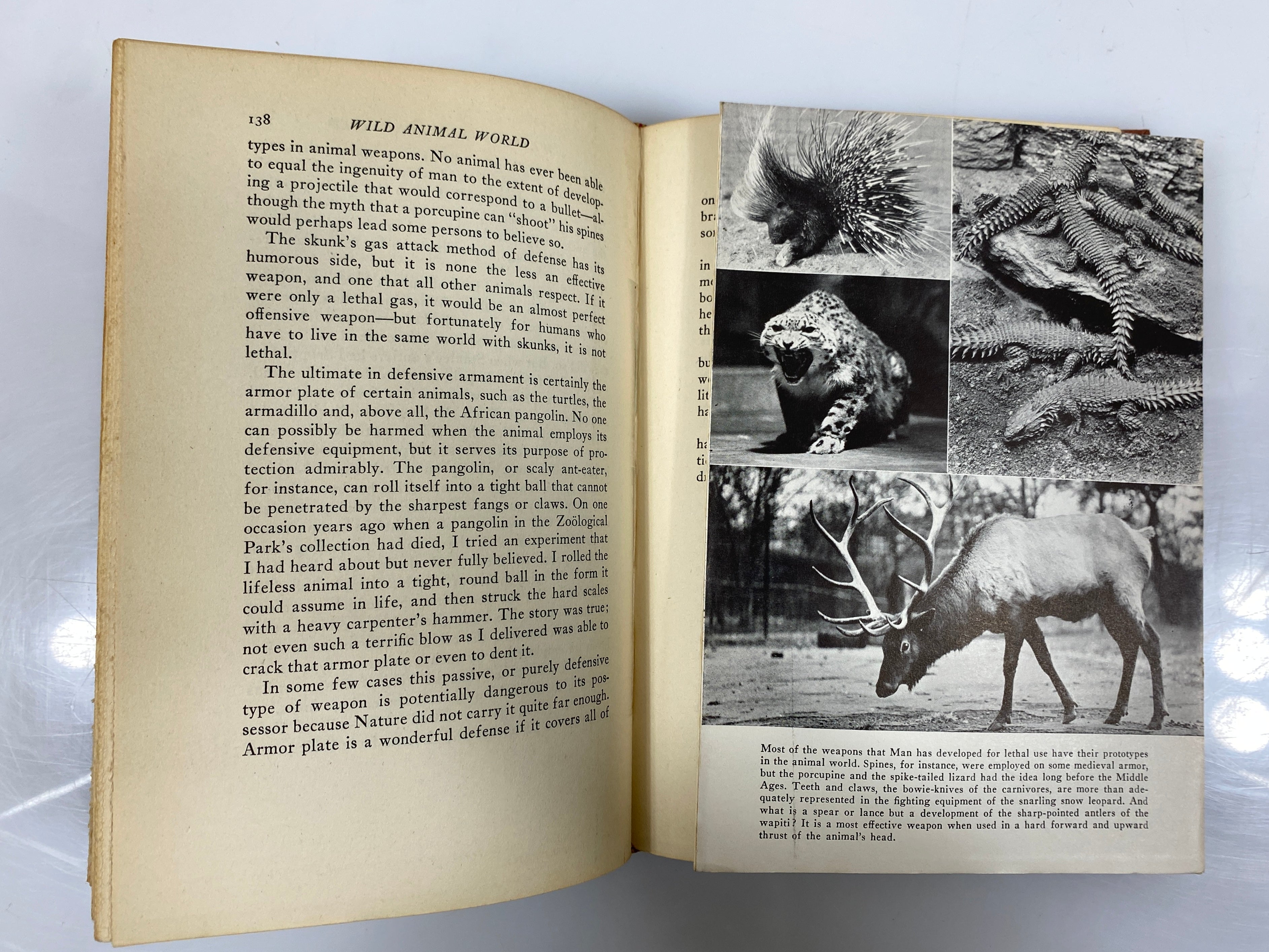 Wild Animal World Behind the Scenes at the Zoo Ditmars/Bridges 1943 Vintage HC