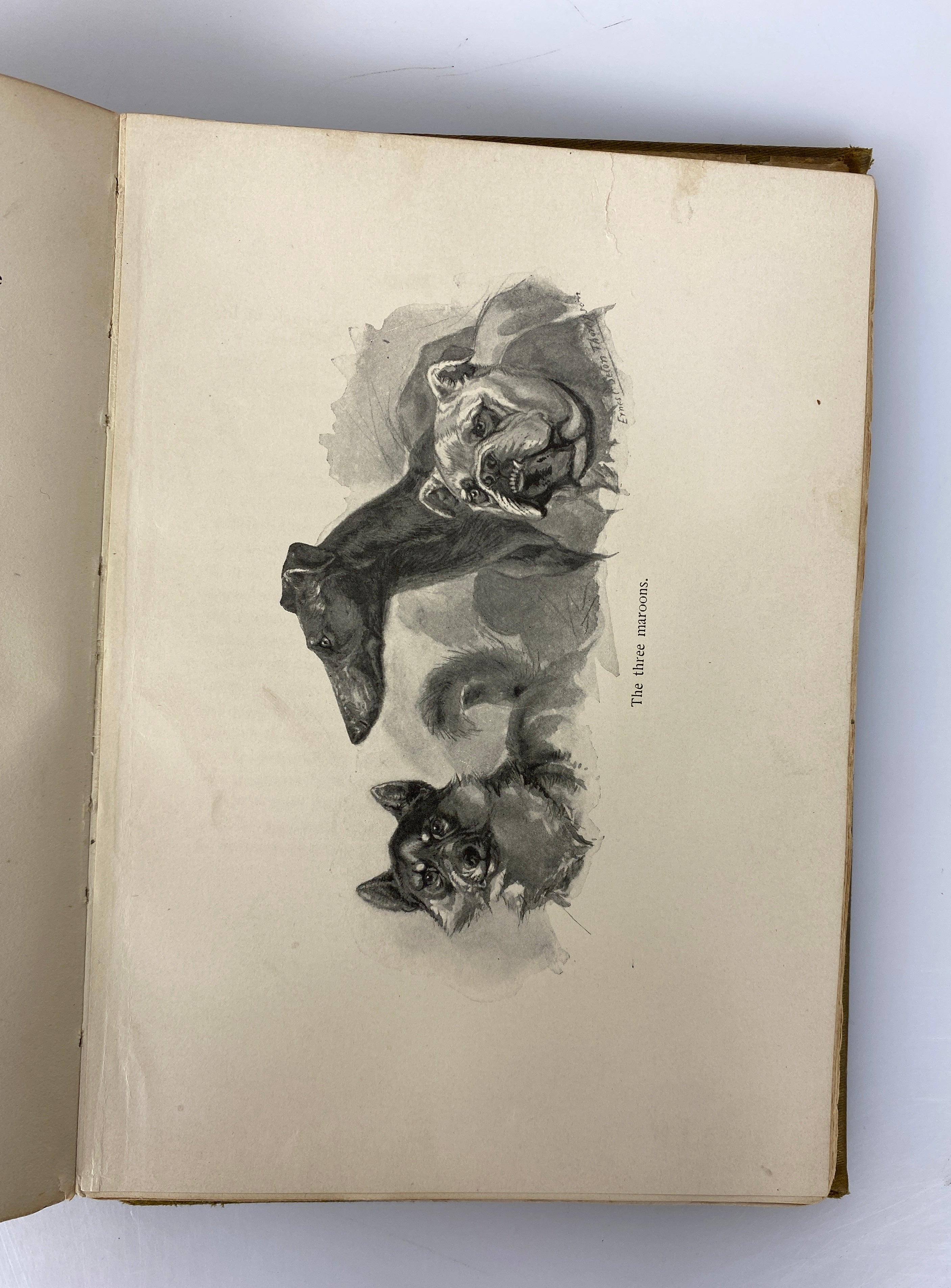 Wild Animals I Have Known Ernest Seton Thompson 1898 Antique 3rd Impression HC