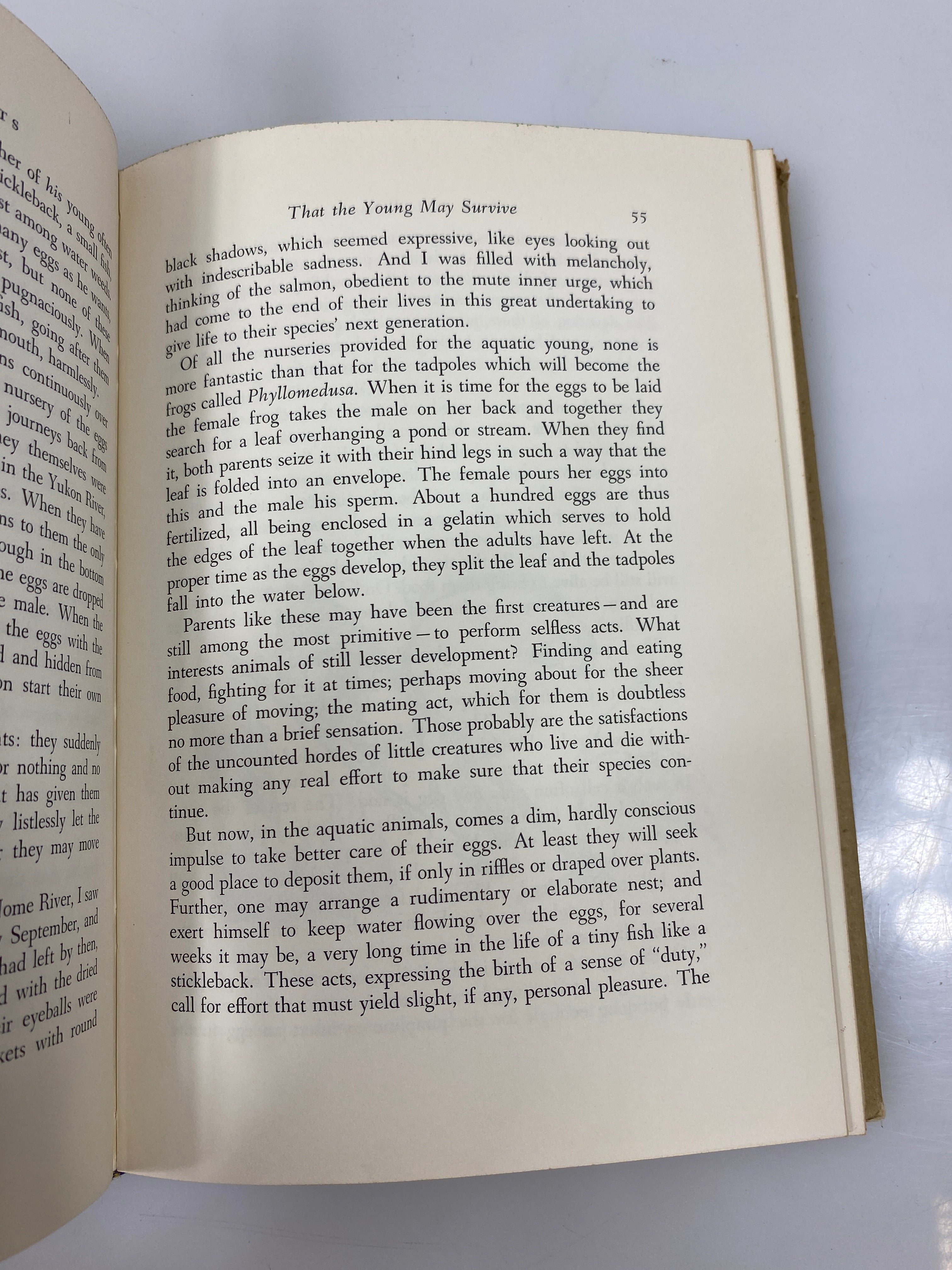 Wild Heritage by Carrighar Ex-library 1965 HCDJ