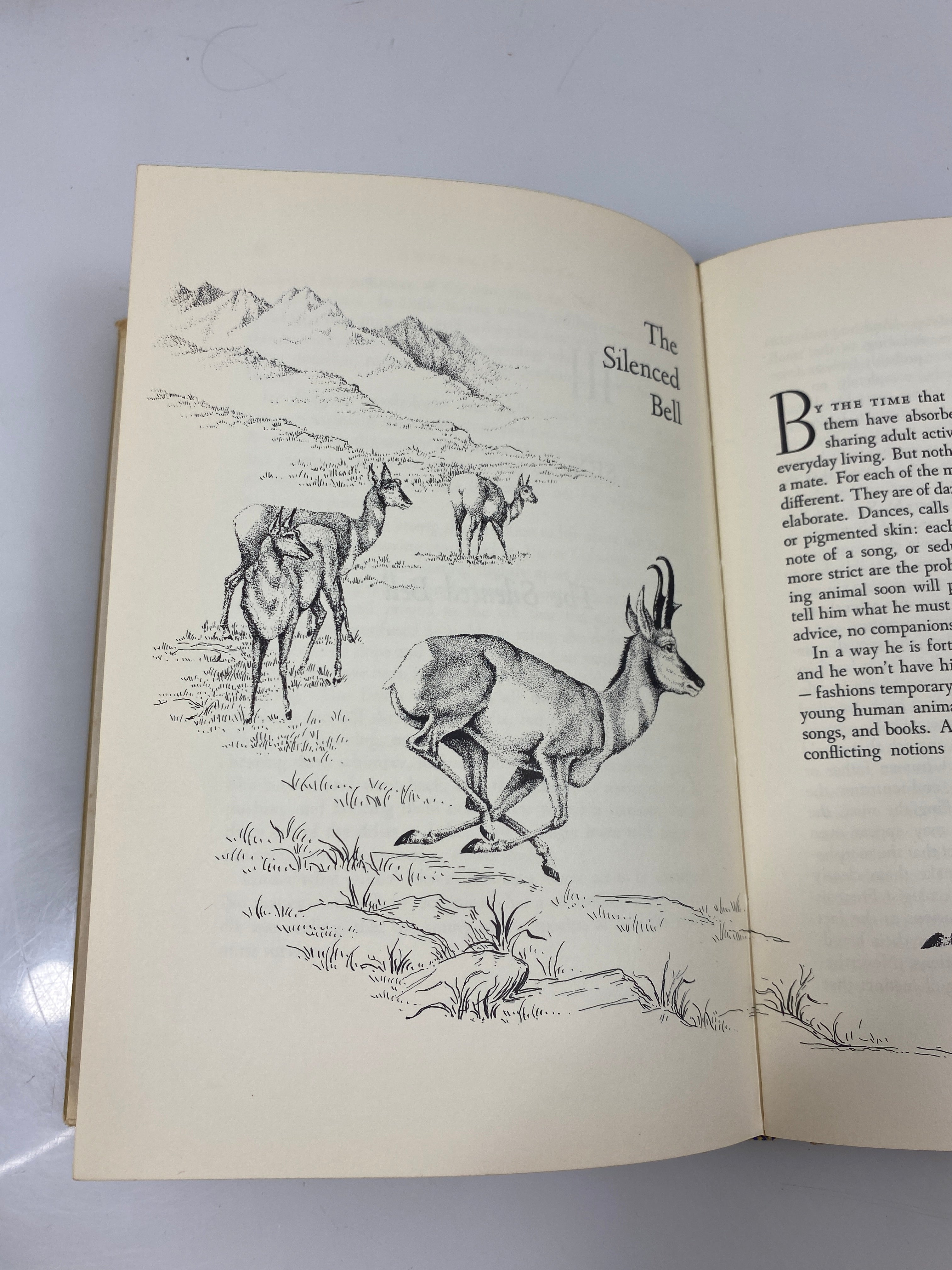 Wild Heritage by Carrighar Ex-library 1965 HCDJ
