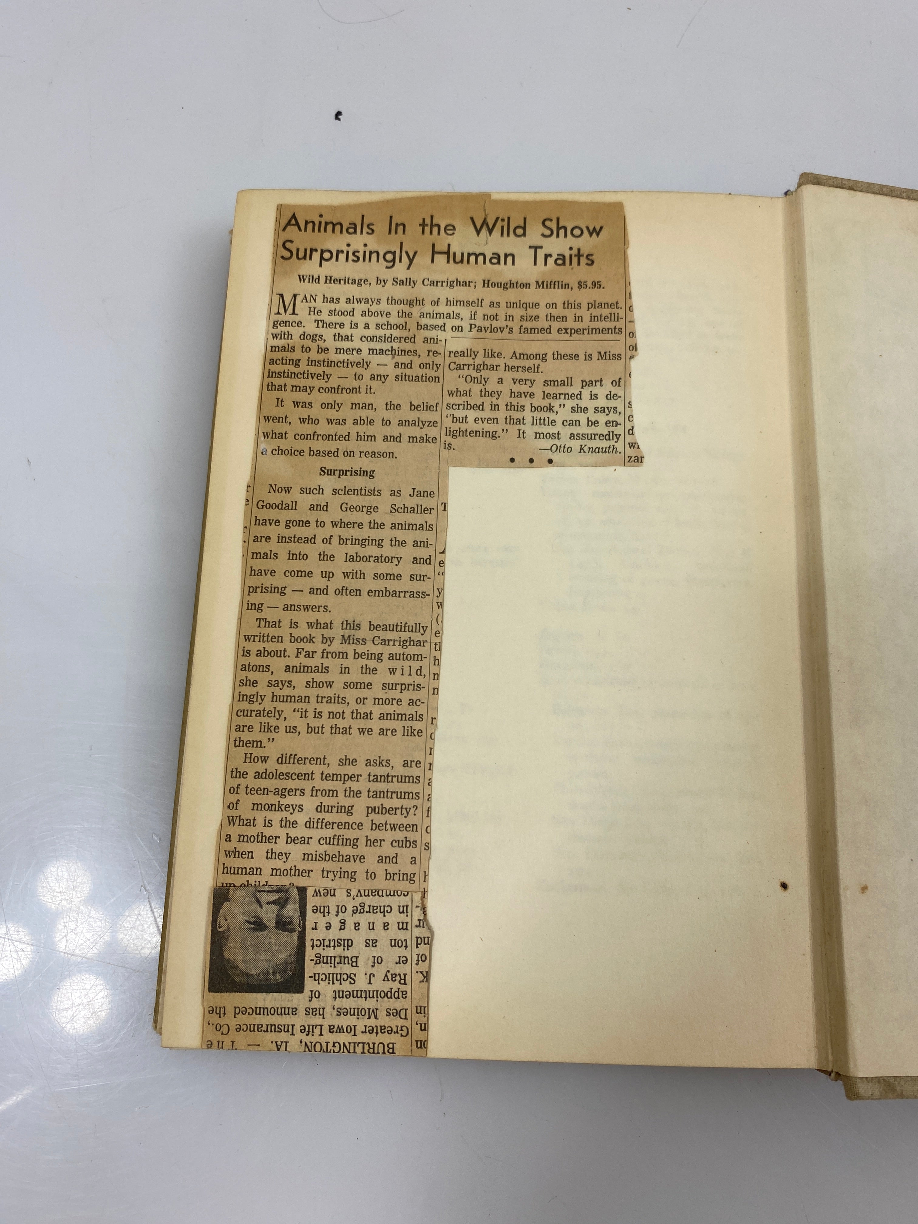 Wild Heritage by Carrighar Ex-library 1965 HCDJ
