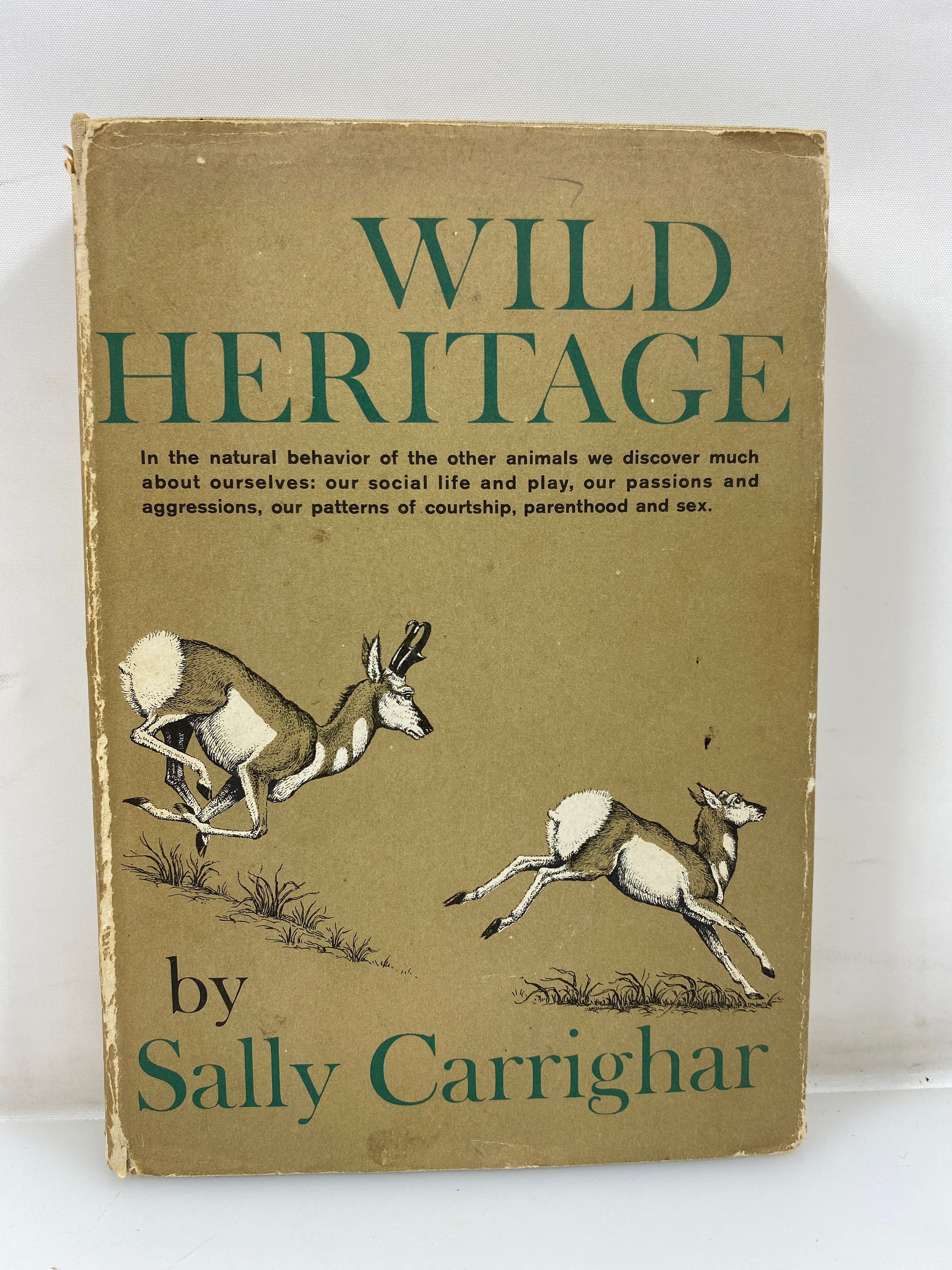 Wild Heritage by Carrighar Ex-library 1965 HCDJ