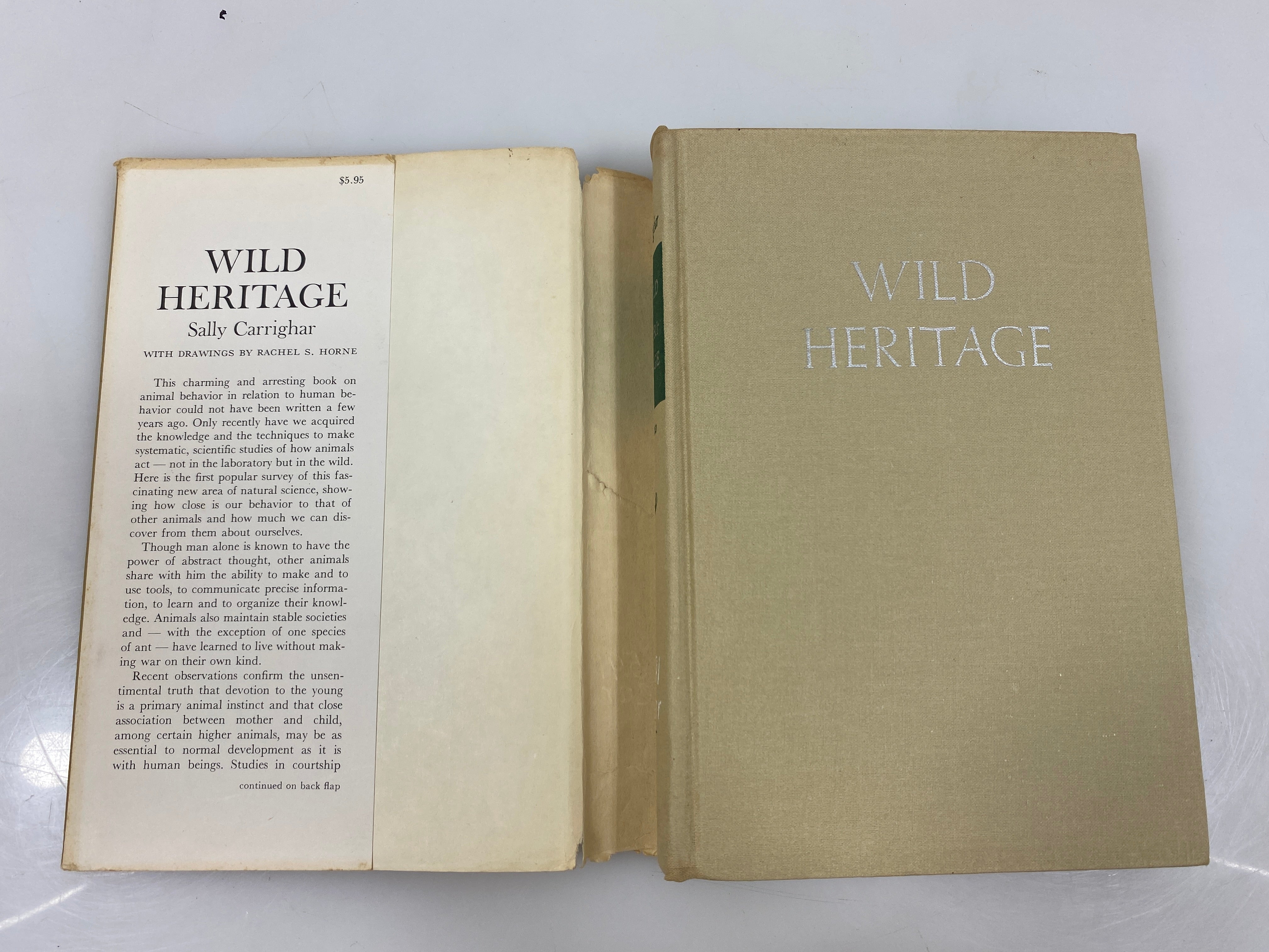 Wild Heritage by Carrighar Ex-library 1965 HCDJ