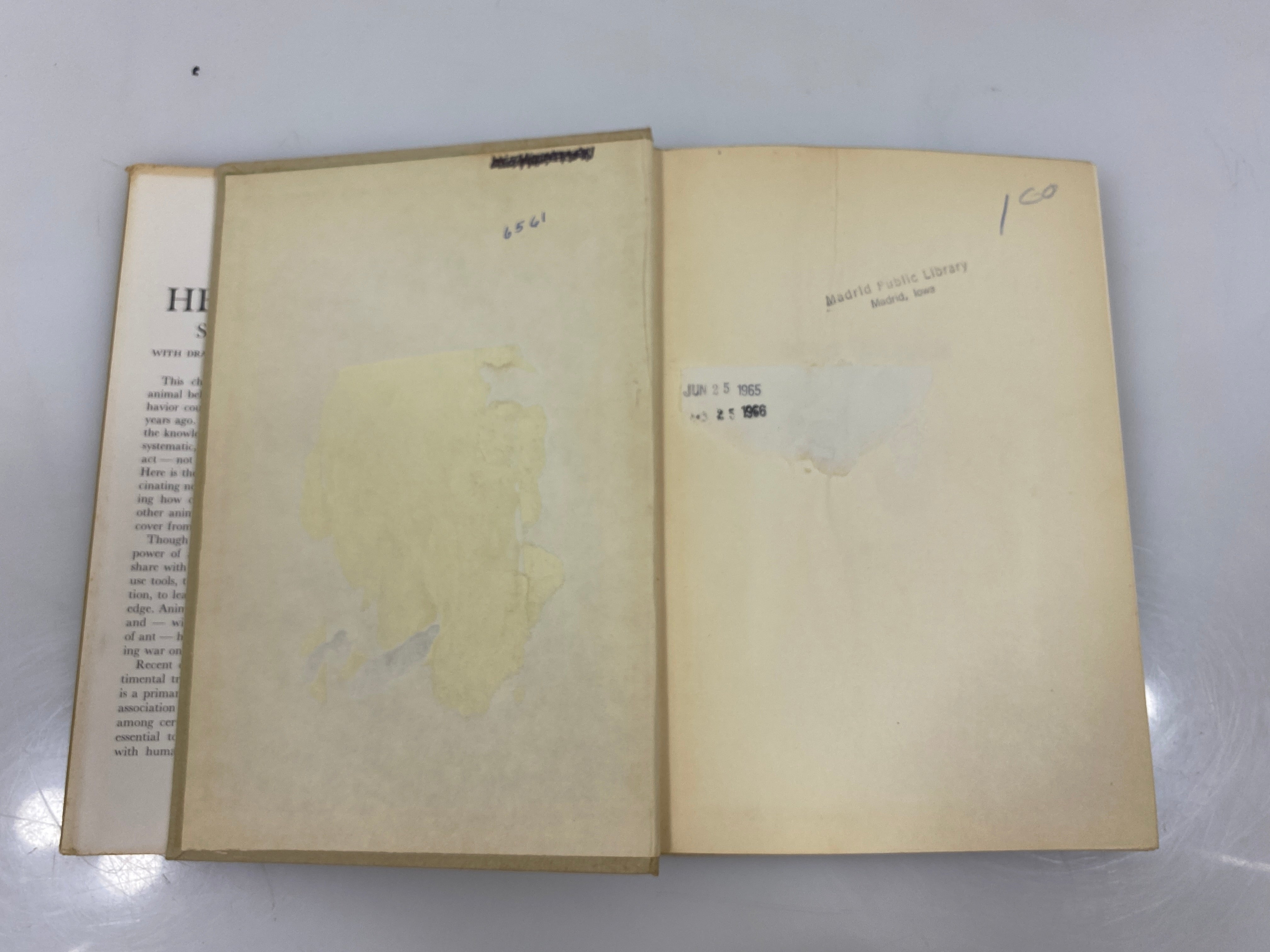 Wild Heritage by Carrighar Ex-library 1965 HCDJ