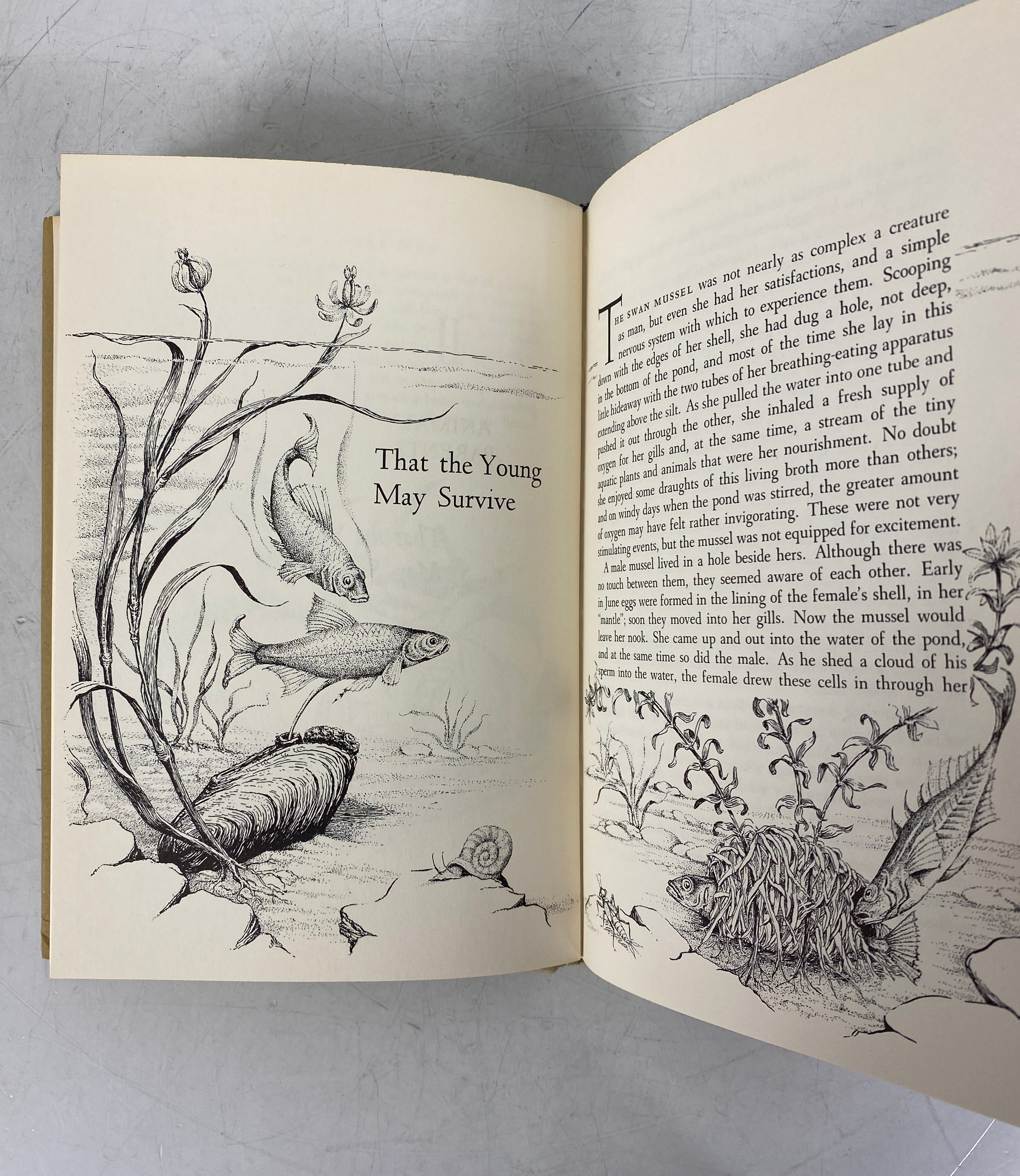 Wild Heritage by Sally Carrighar 1965 First Printing HC DJ