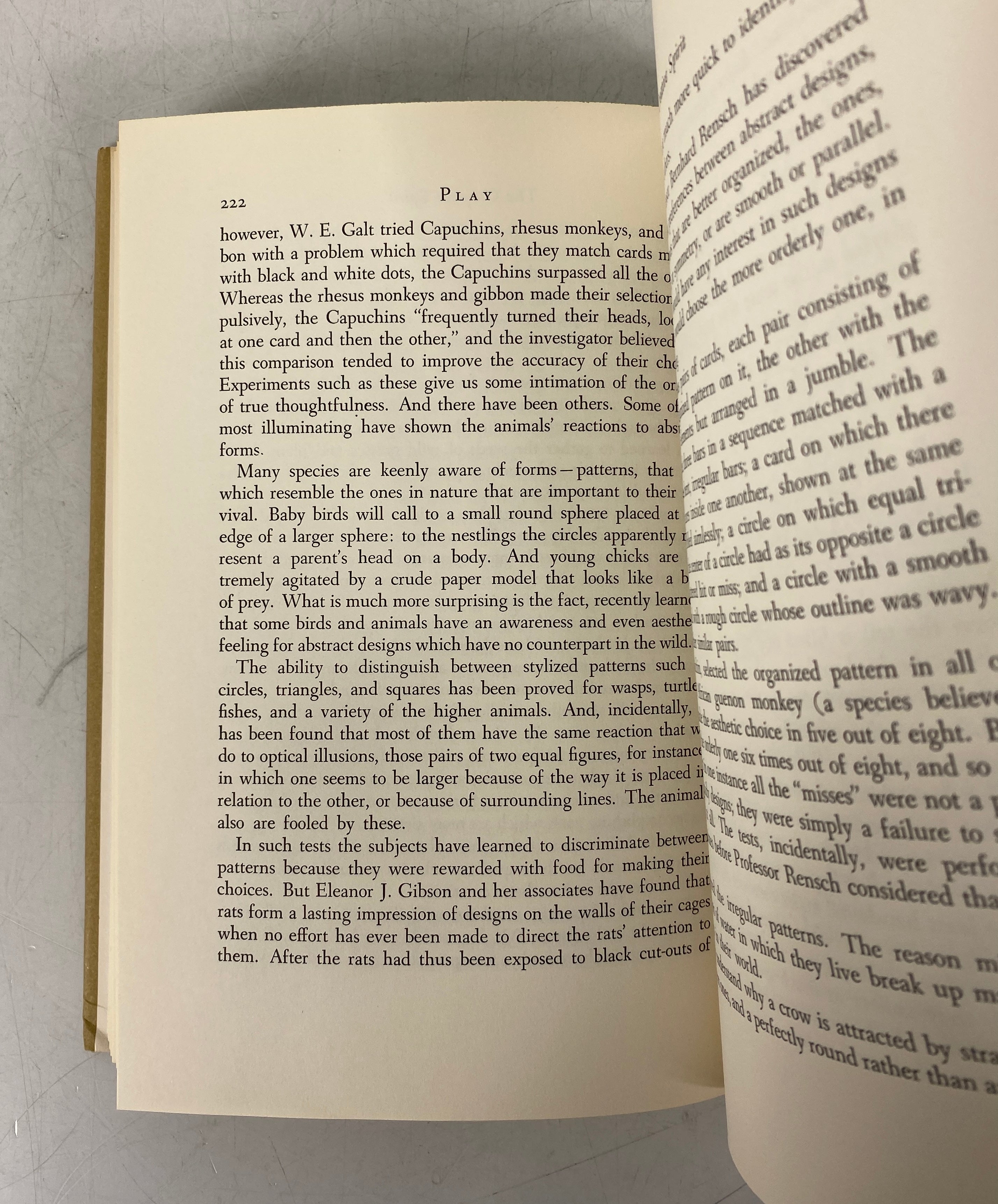 Wild Heritage by Sally Carrighar 1965 First Printing HC DJ