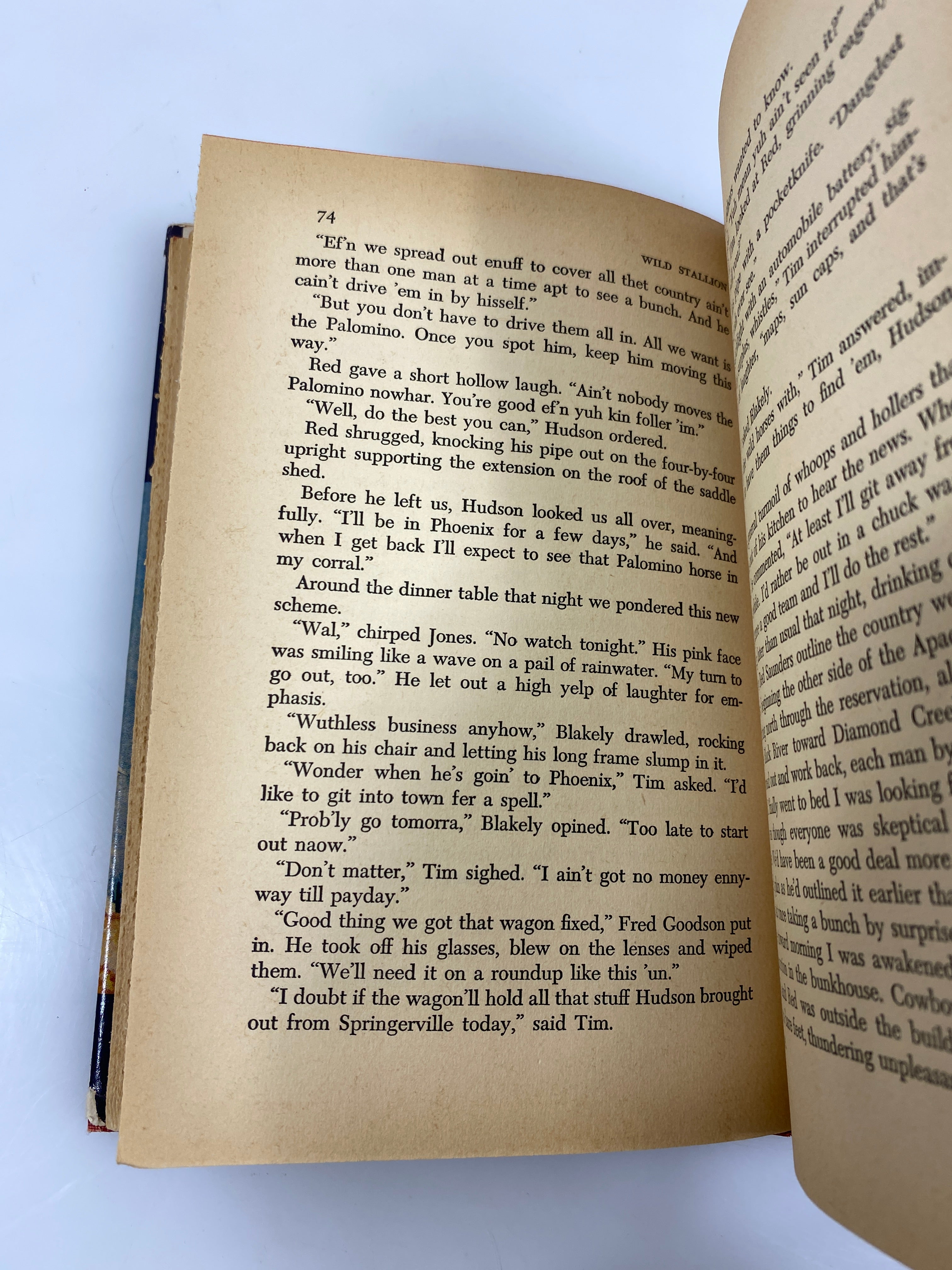 Wild Stallion by Bud Murphy World Junior Library 1952 HCDJ