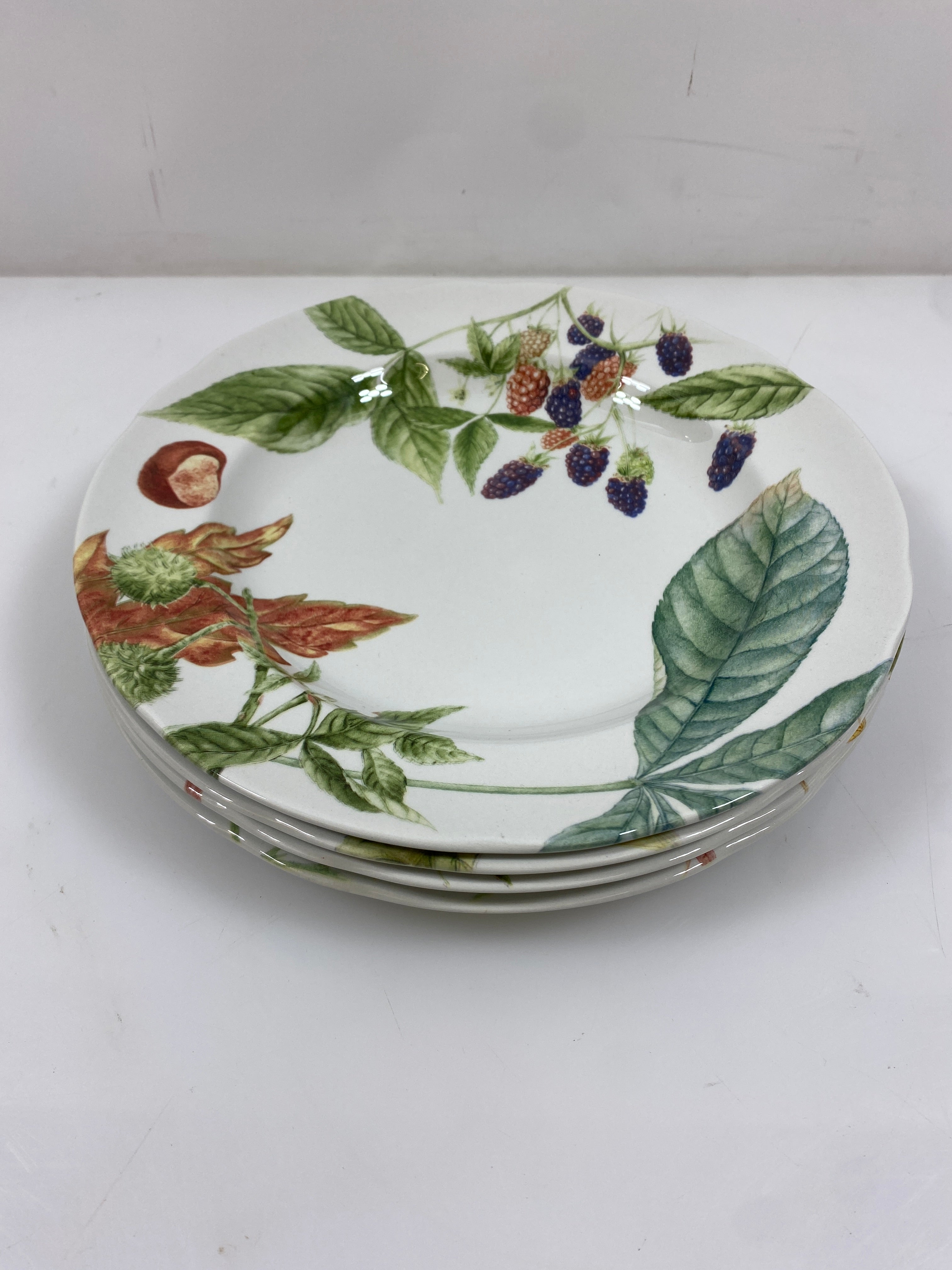 Williams Sonoma Spode Harvest Plates Set of 4