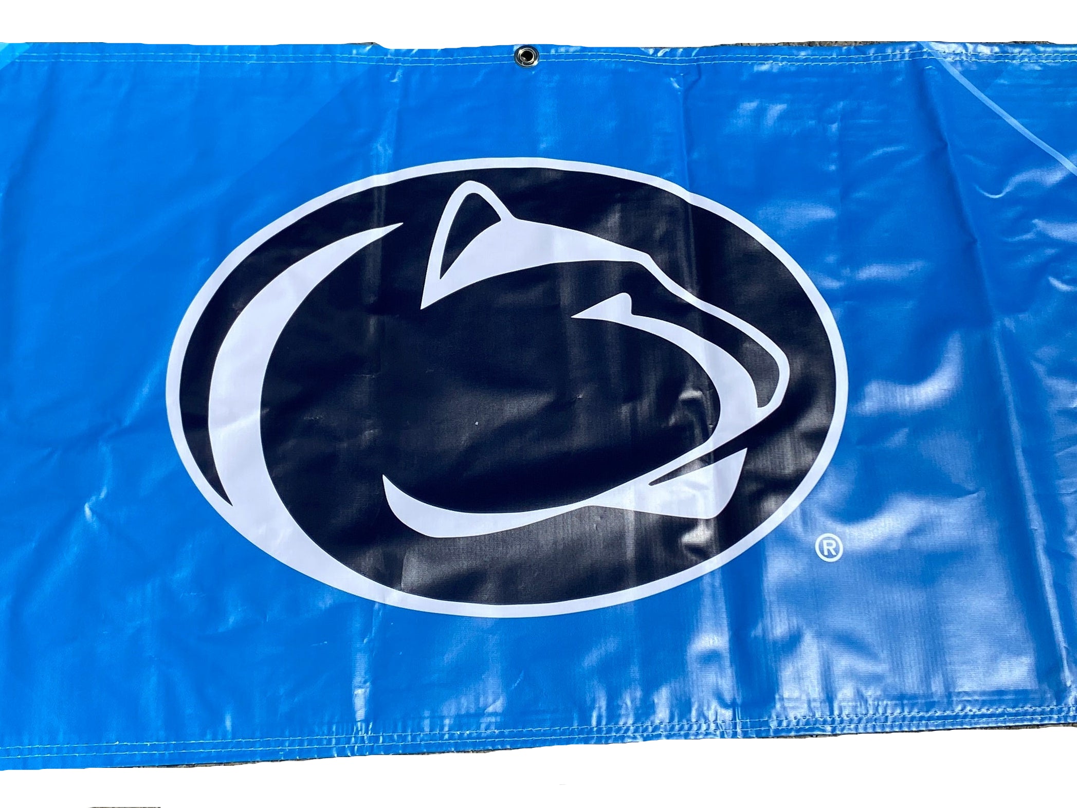 Women's Big Ten Gymnastics Championships 2024 School Logo Banner