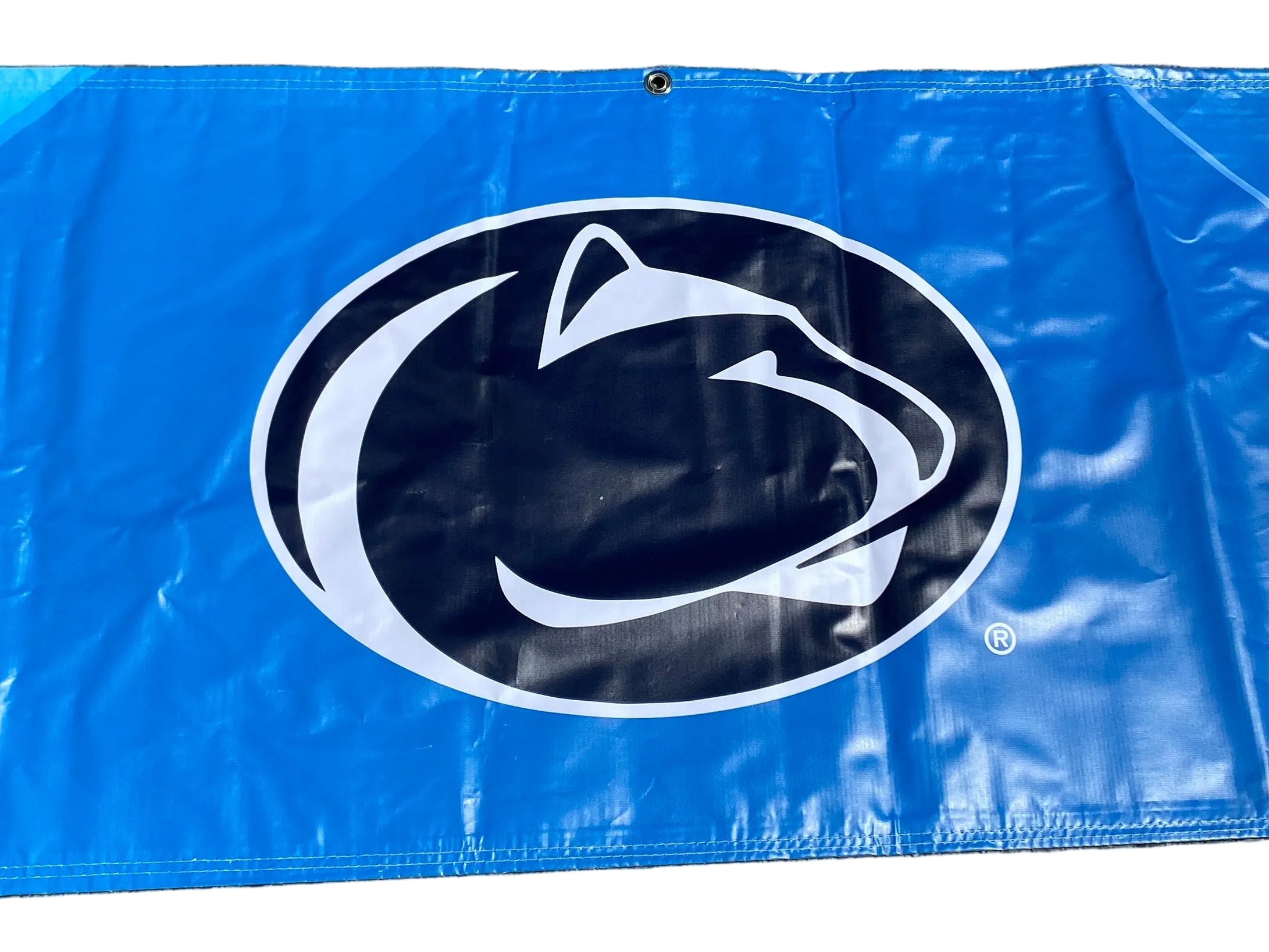 Women's Big Ten Gymnastics Championships 2024 School Logo Banner #2