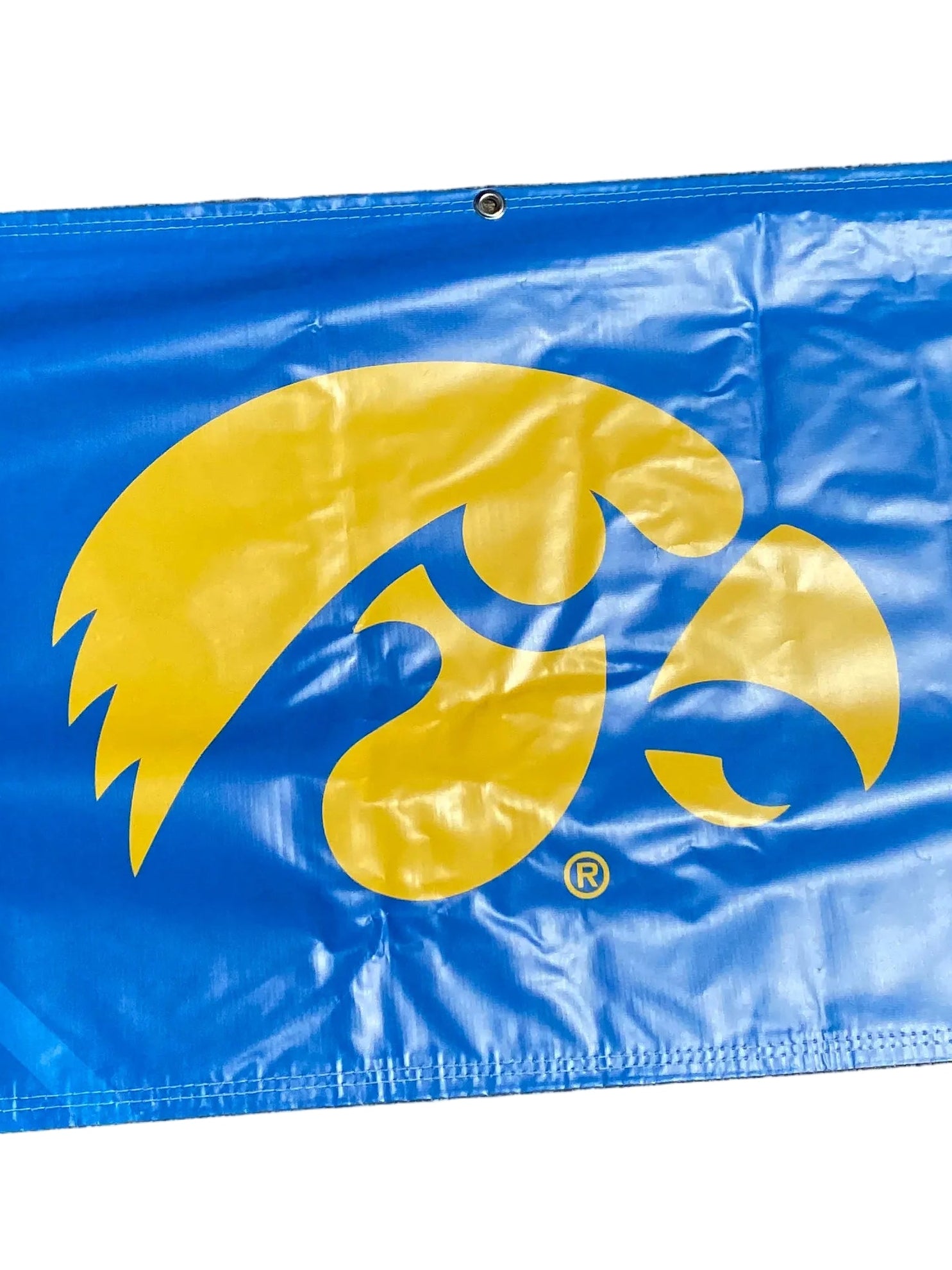 Women's Big Ten Gymnastics Championships 2024 School Logo Banner #2