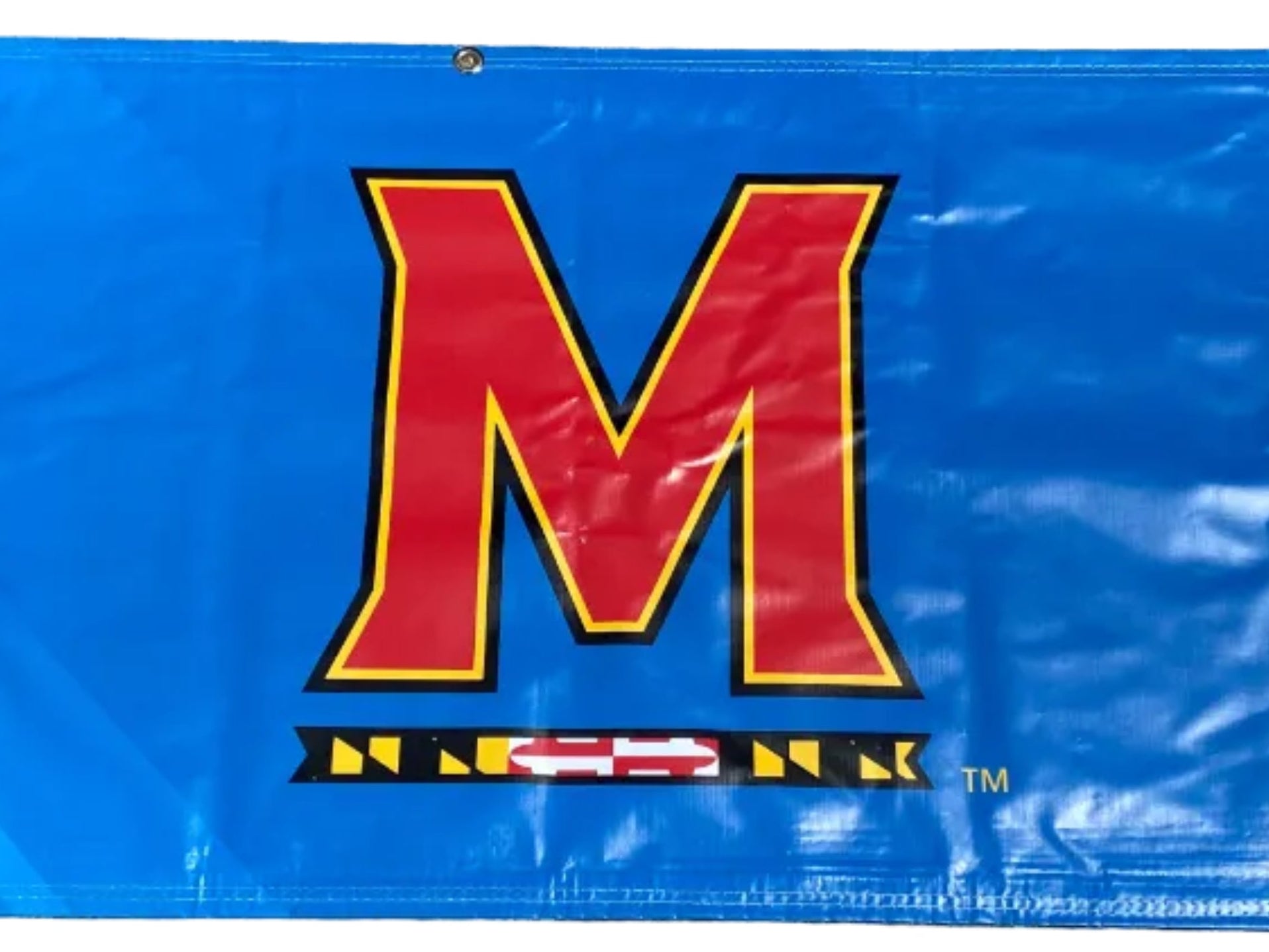 Women's Big Ten Gymnastics Championships 2024 School Logo Banner #2