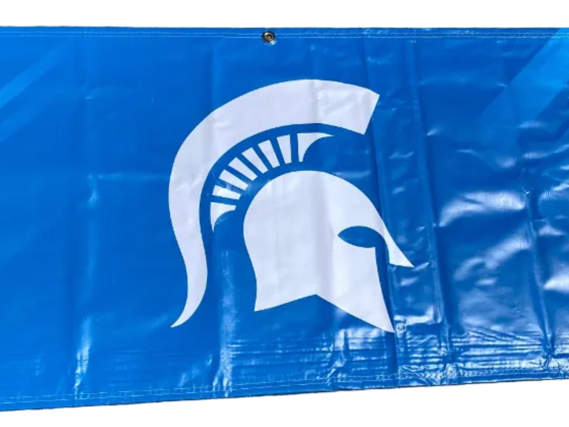 Women's Big Ten Gymnastics Championships 2024 School Logo Banner #2