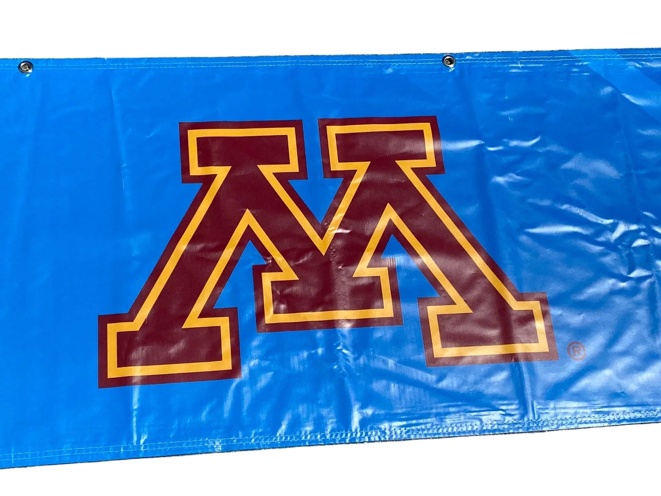Women's Big Ten Gymnastics Championships 2024 School Logo Banner #2