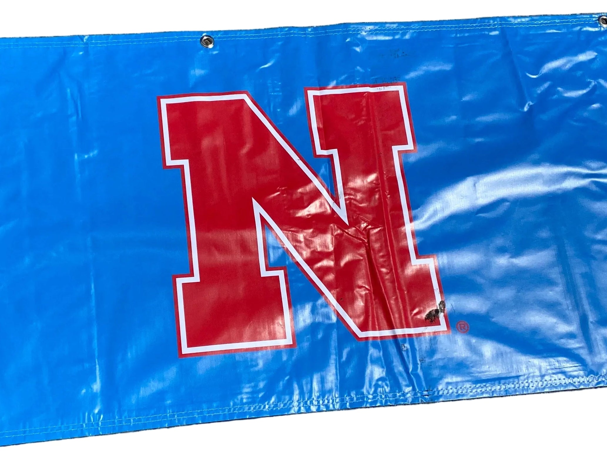 Women's Big Ten Gymnastics Championships 2024 School Logo Banner #2