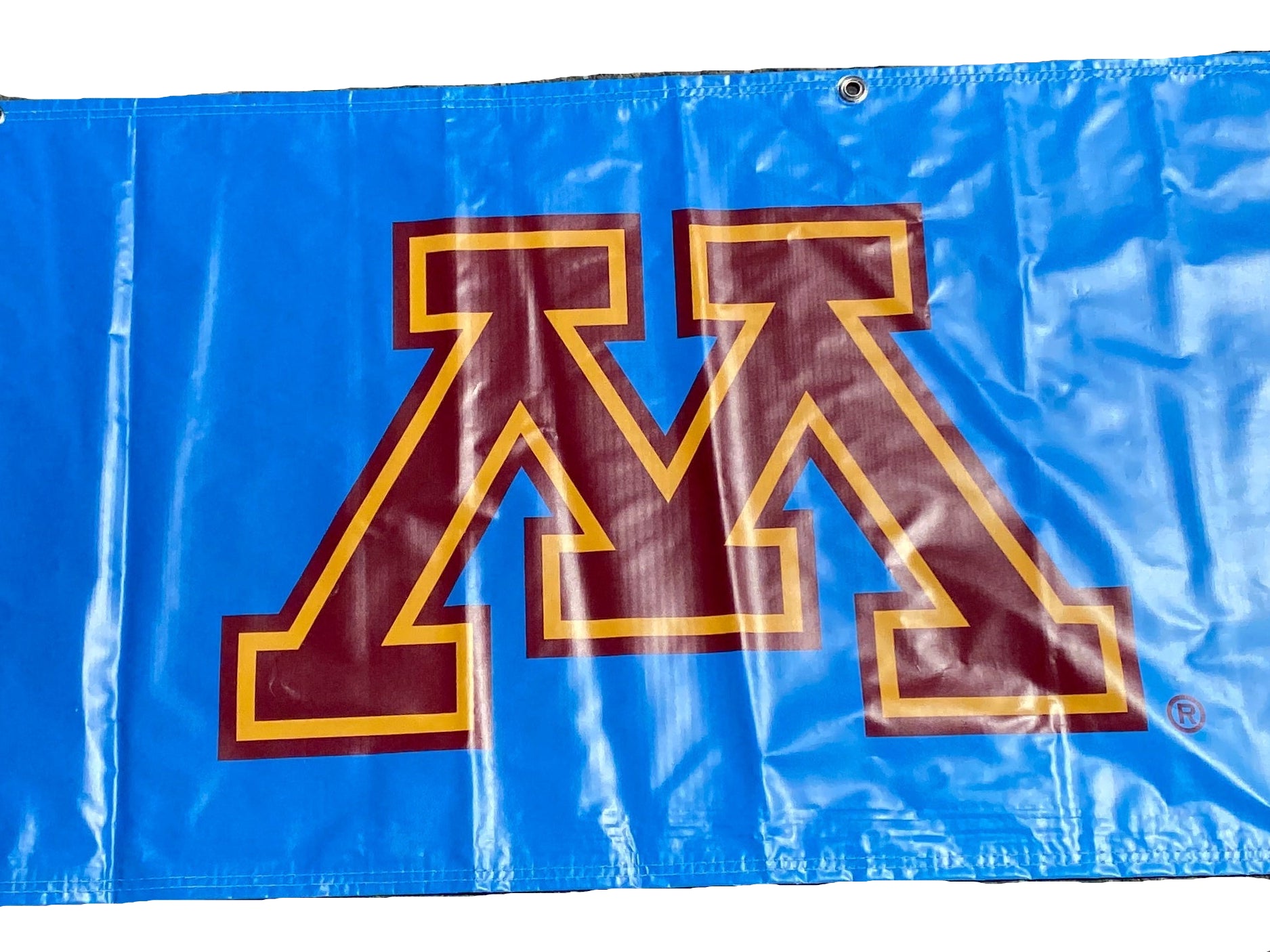 Women's Big Ten Gymnastics Championships 2024 School Logo Banner
