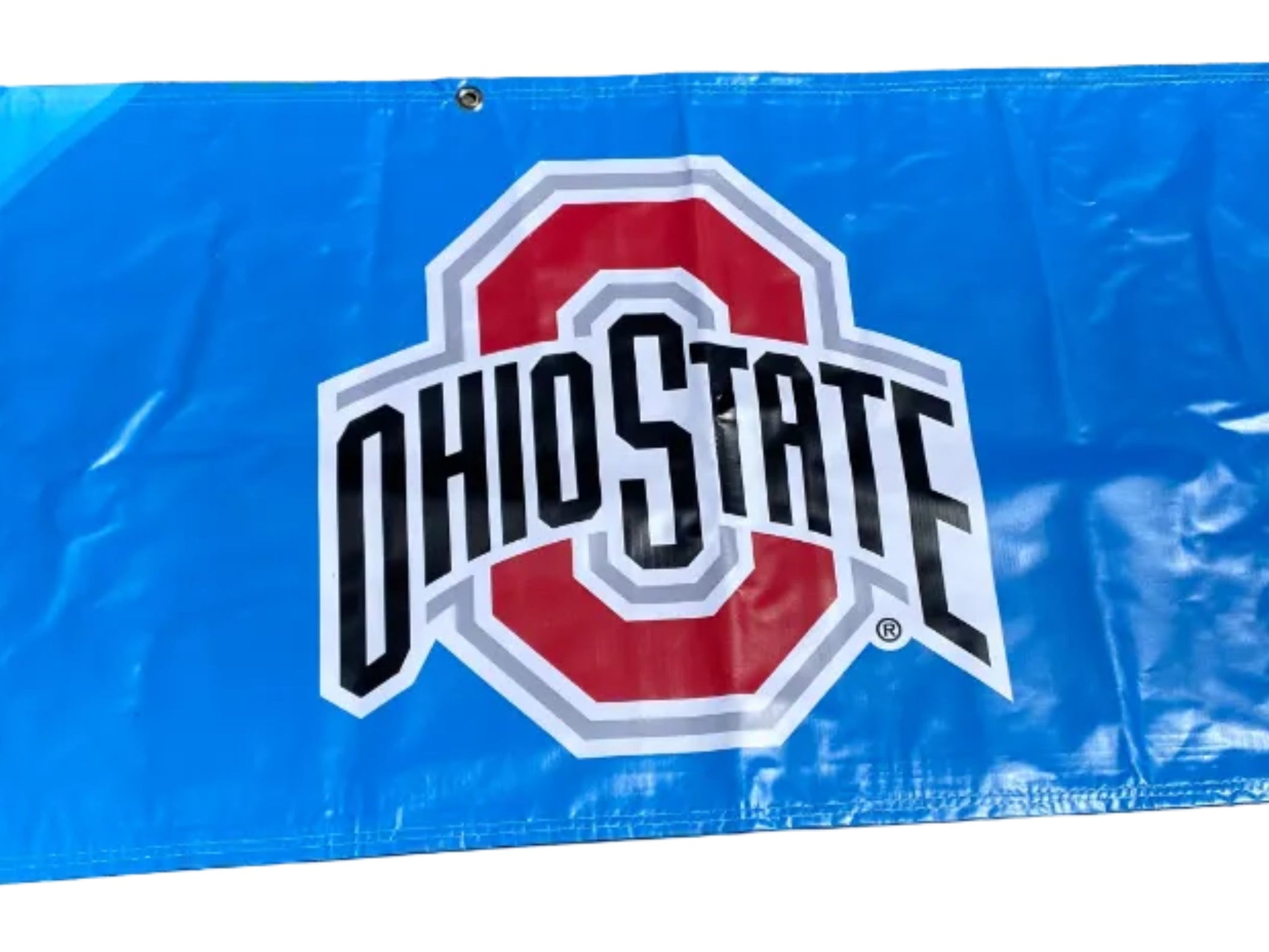 Women's Big Ten Gymnastics Championships 2024 School Logo Banner #2