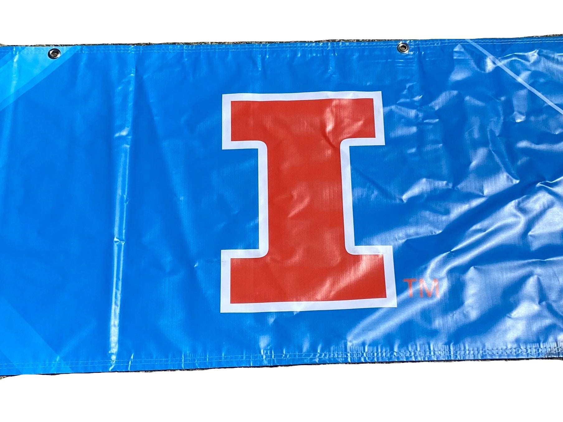 Women's Big Ten Gymnastics Championships 2024 School Logo Banner