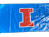 Women's Big Ten Gymnastics Championships 2024 School Logo Banner